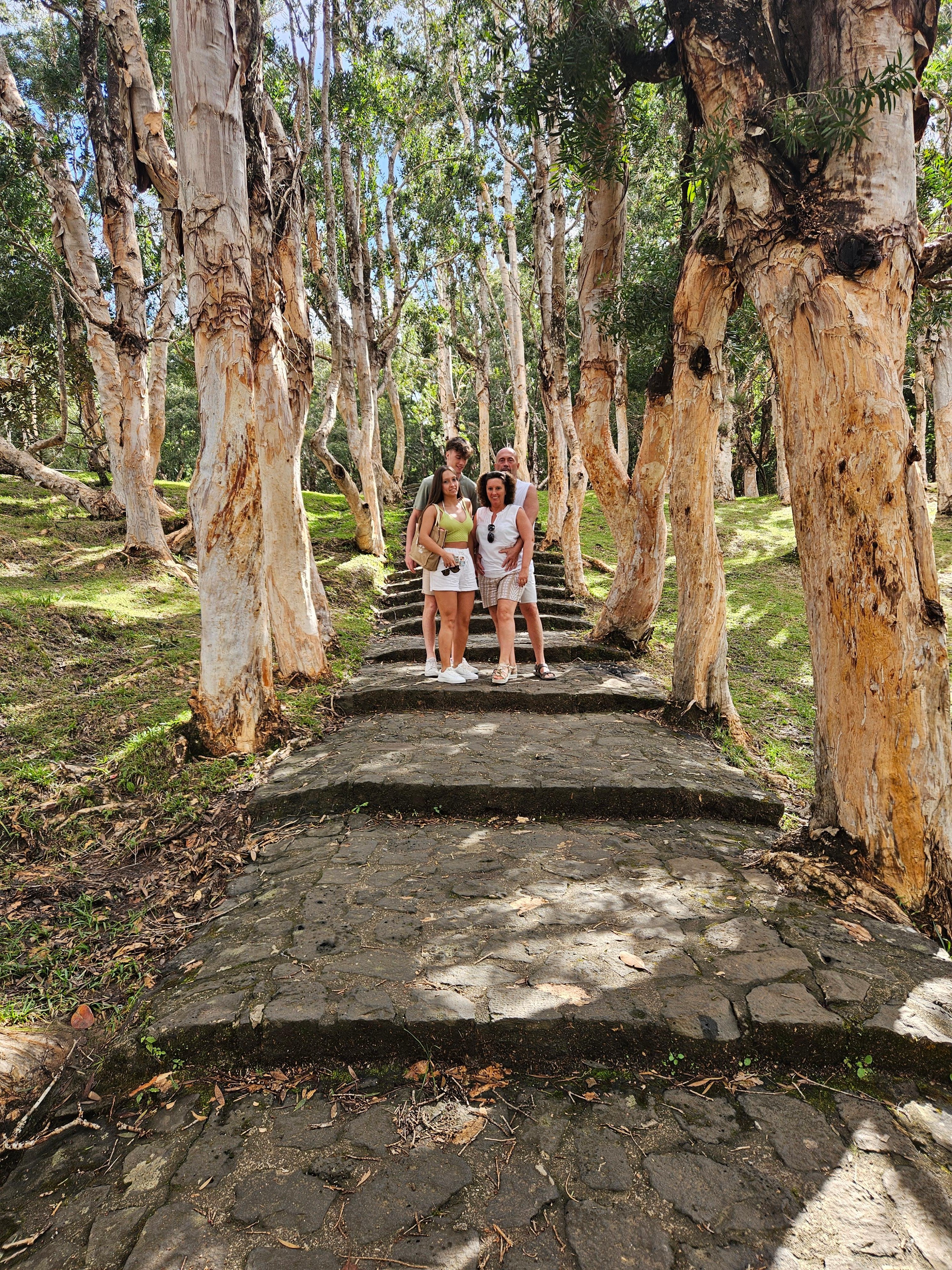 Private Southwest Mauritius: Chamarel & Nature Highlights