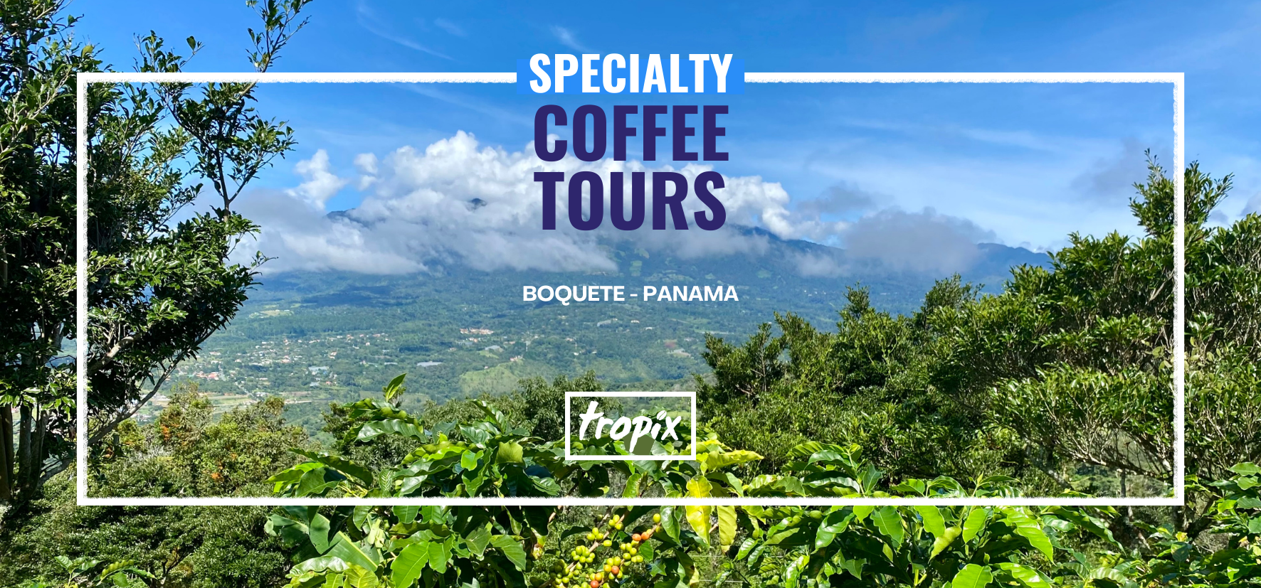 Private Specialty Coffee Tour in Boquete
