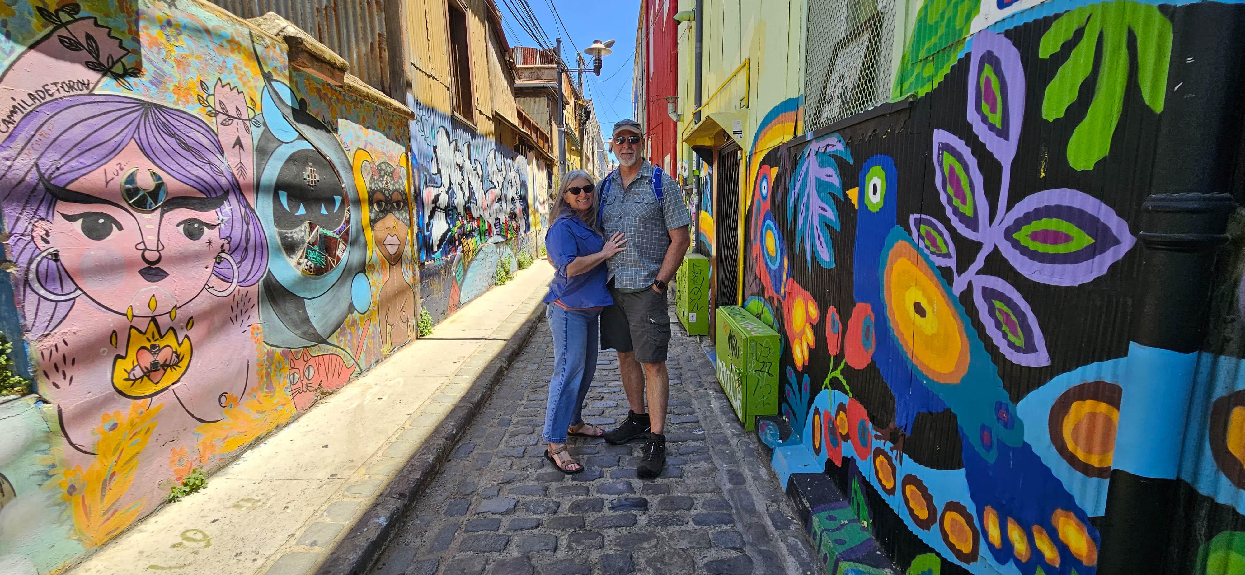 Valparaíso wine tour, the Casablanca Valley and Valparaíso's hills — image 45