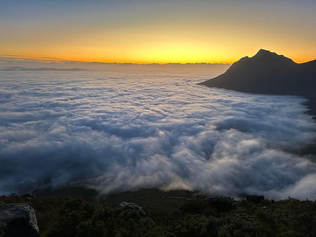 Cape Town: Lion's Head or Table Mountain Guided Hike