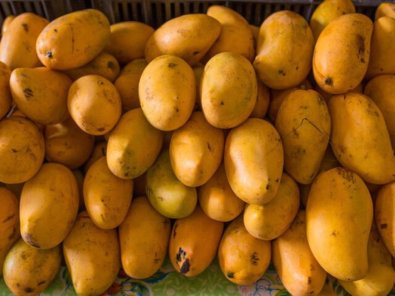 Tulum Home Kitchen: Authentic Mexican Cooking Experience
