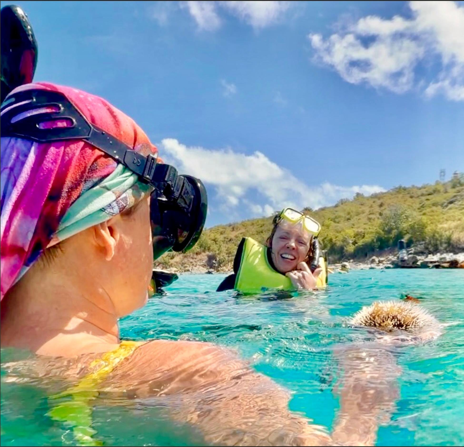Luxury Catamaran & Sea Turtle Snorkeling Adventure