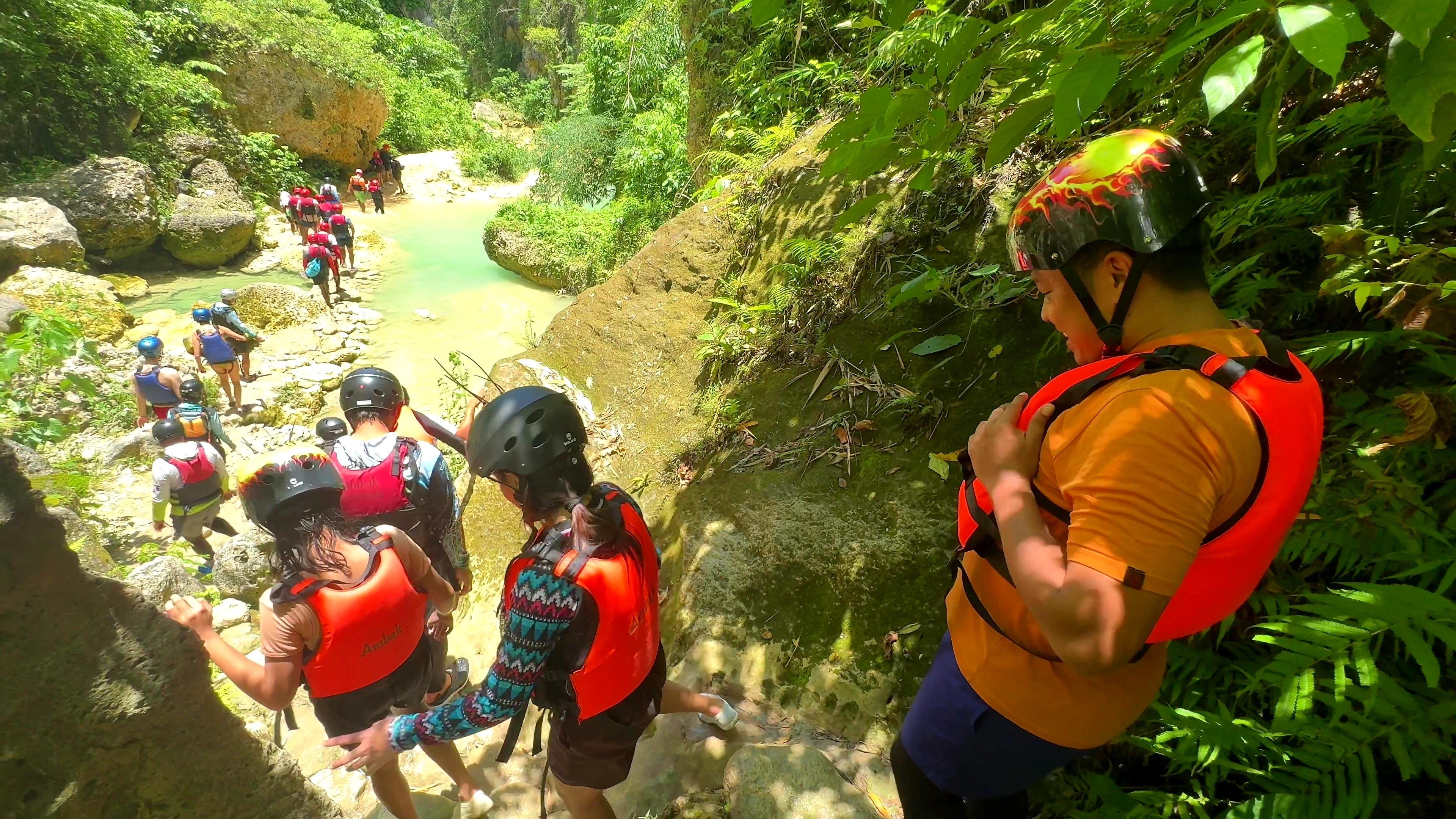 Cebu: Whale Shark Swim & Kawasan Falls Canyoneering Day Tour