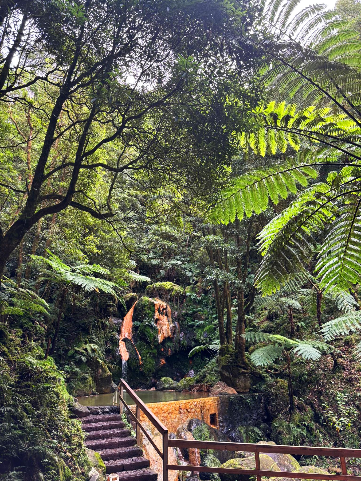 Azores Guided Trek: Janela do Inferno & Caldeira Velha Thermal Springs