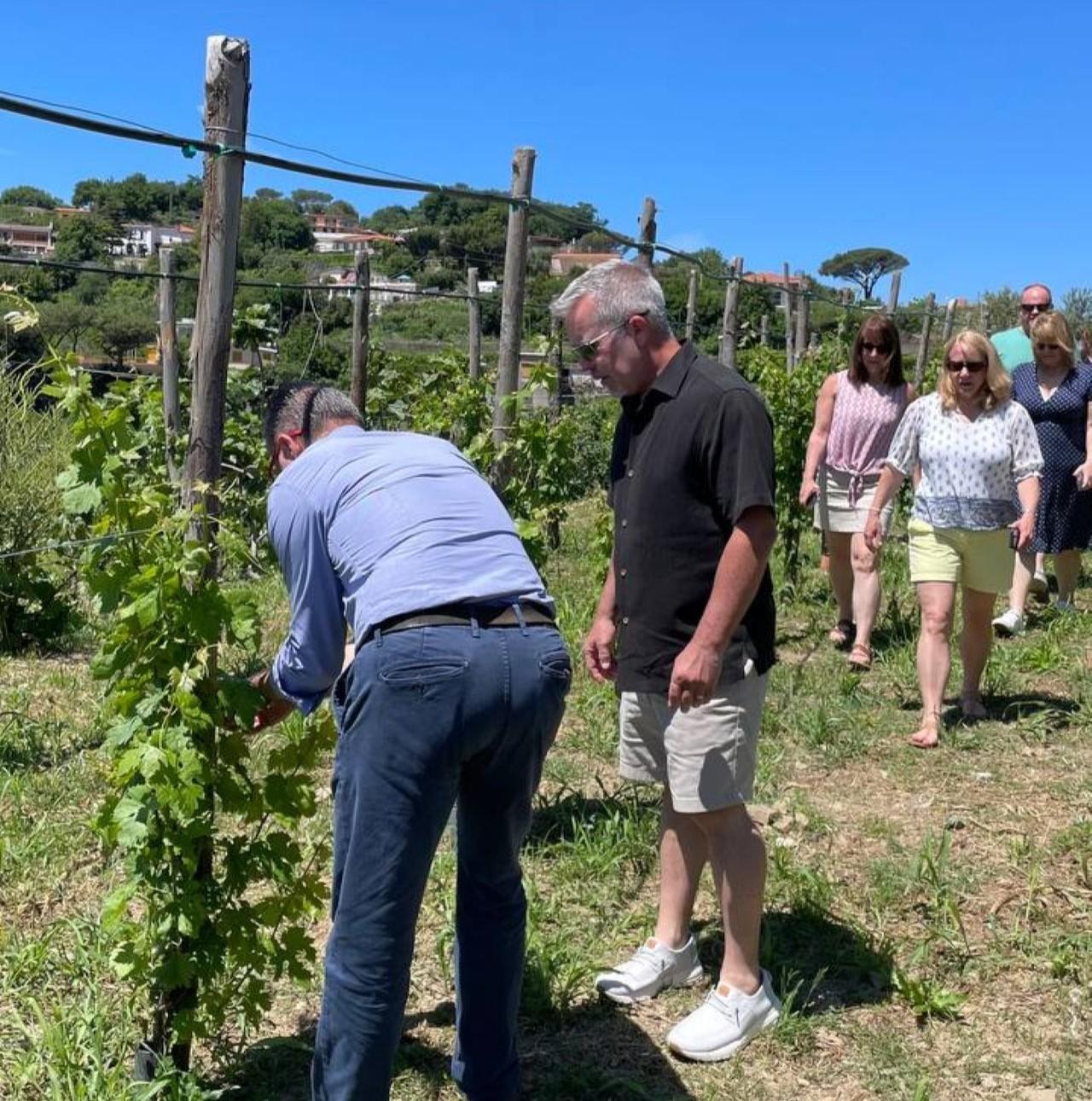 Positano Garden Cooking Class with Li Galli Views