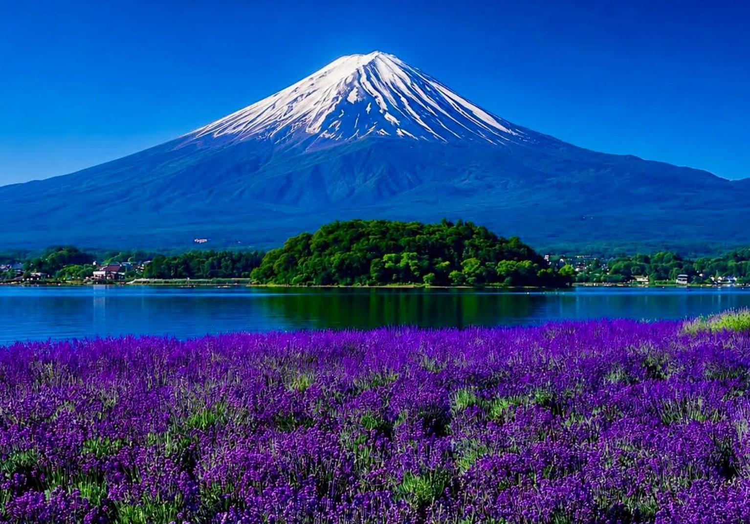 Custom Mt. Fuji & Hakone Private Full-Day Tour from Tokyo