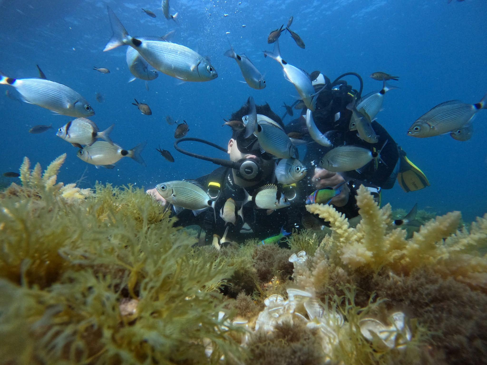 Sousse Scuba Diving Experience with Caves and Reef Exploration