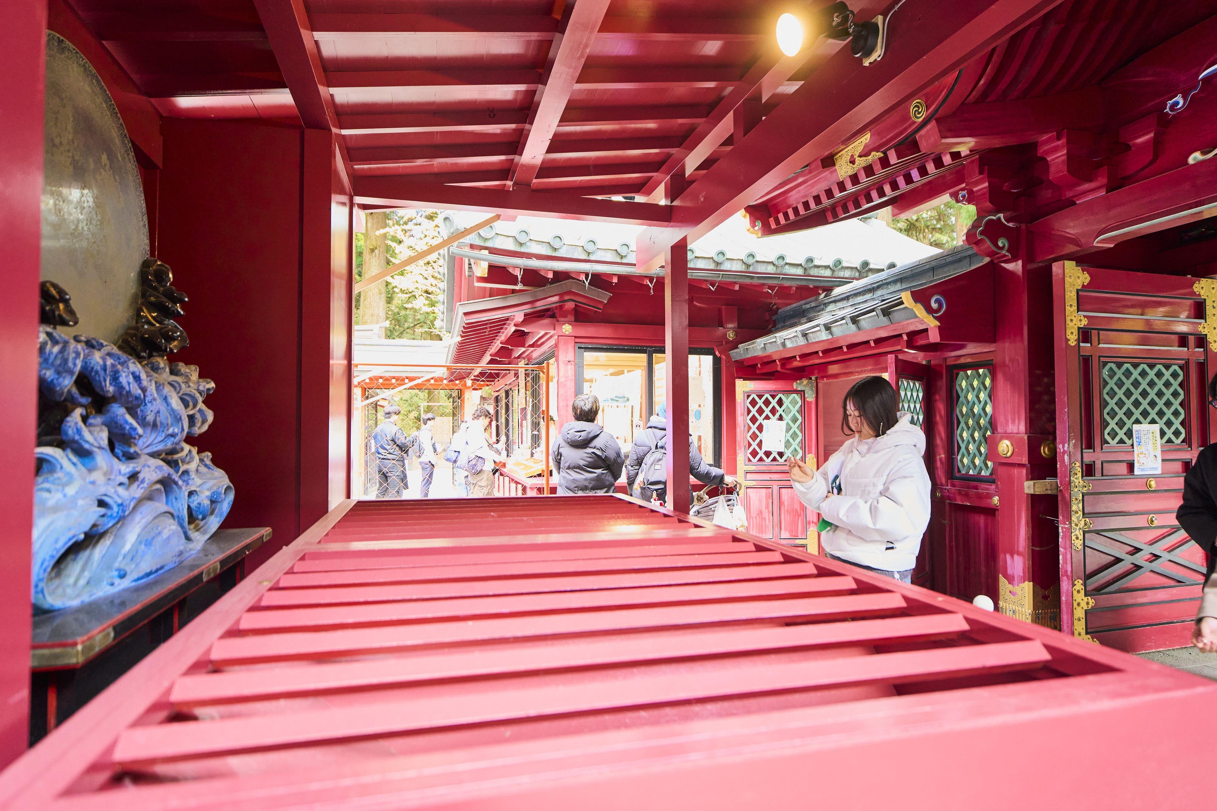 Mt. Fuji & Hakone Day Trip: Pirate Cruise, Ropeway & Shrine from Tokyo