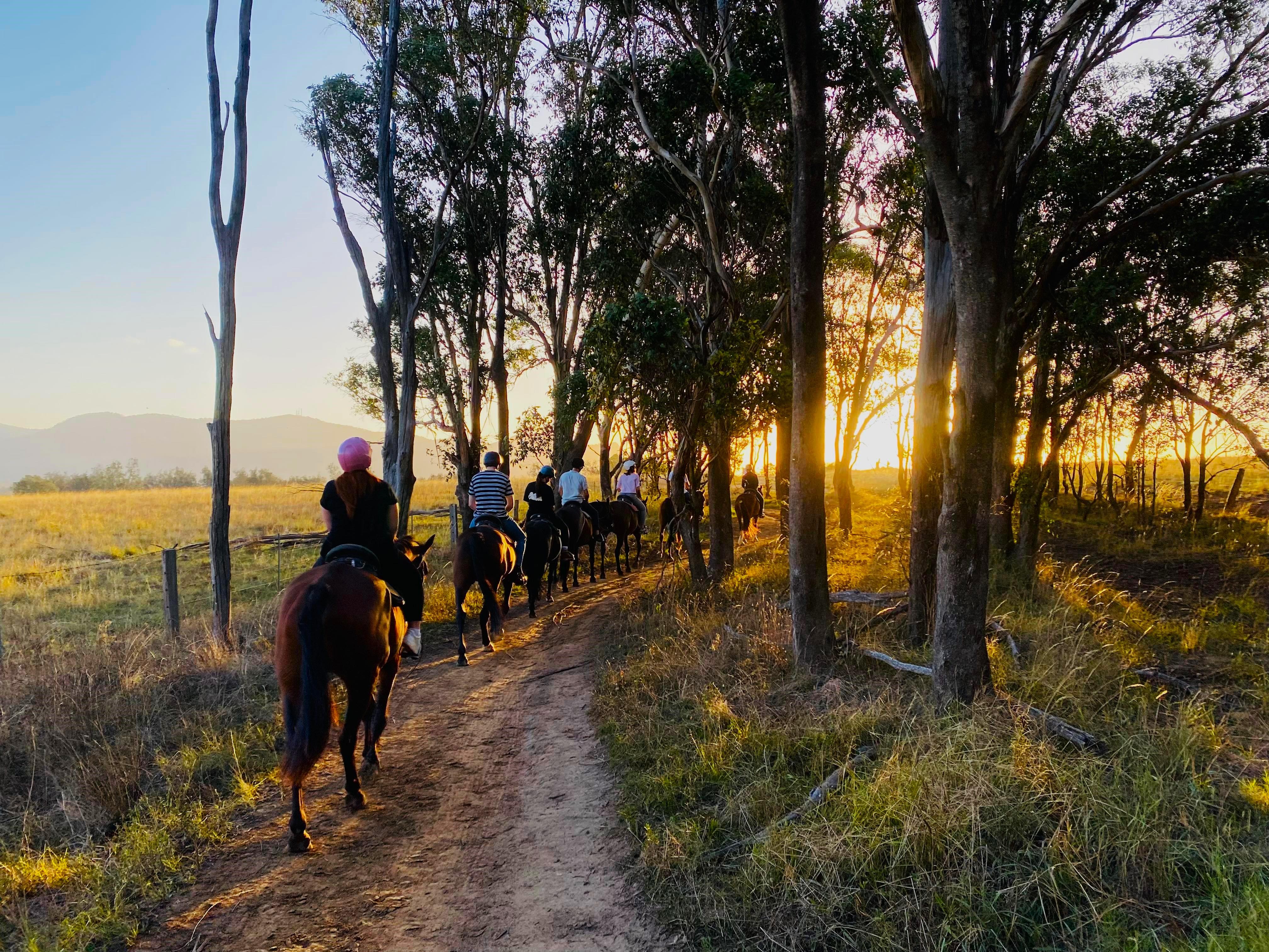 Hunter Valley Sunset Horseback Adventure