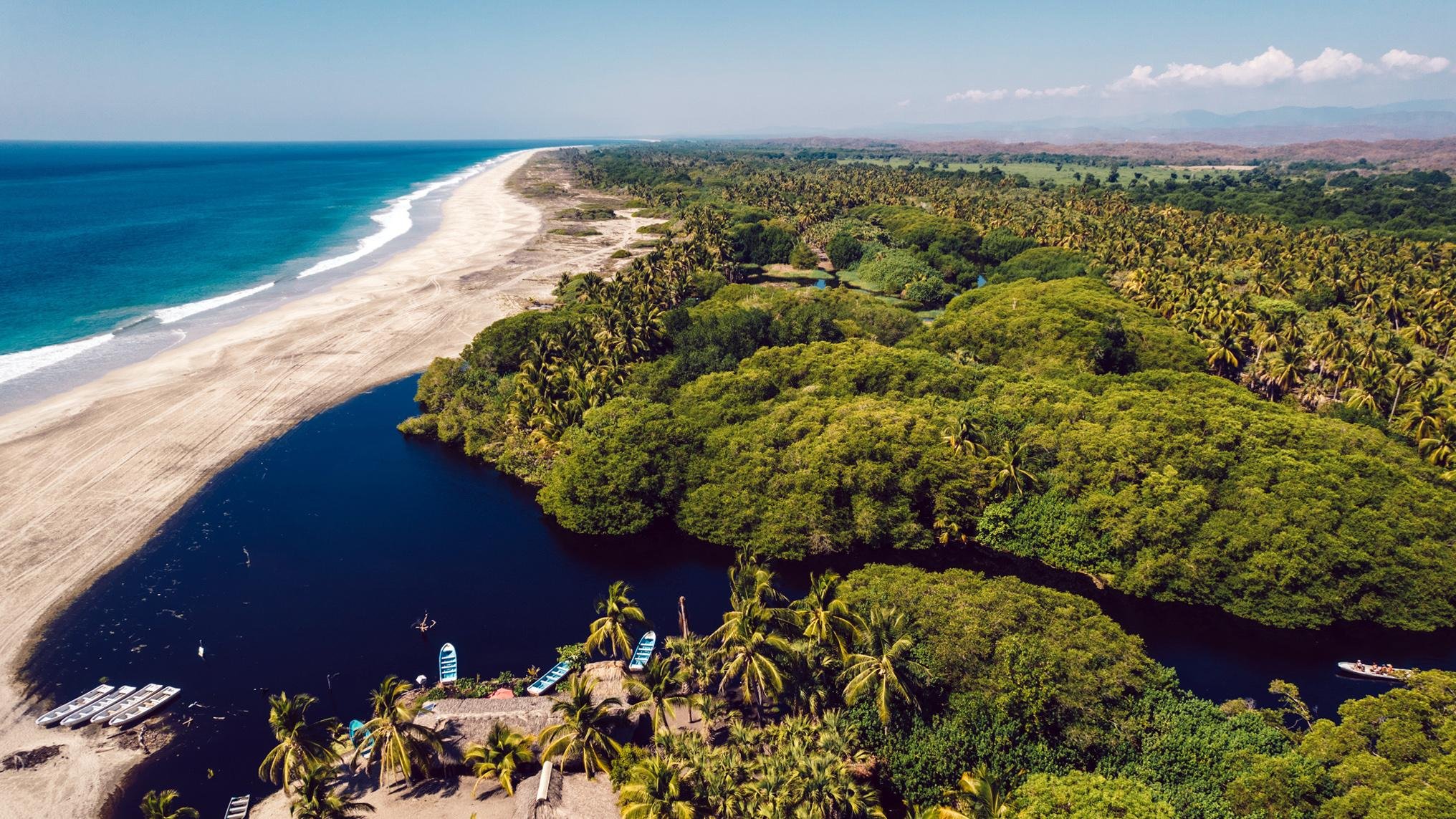 Oaxaca Coast Wildlife & Beach Discovery