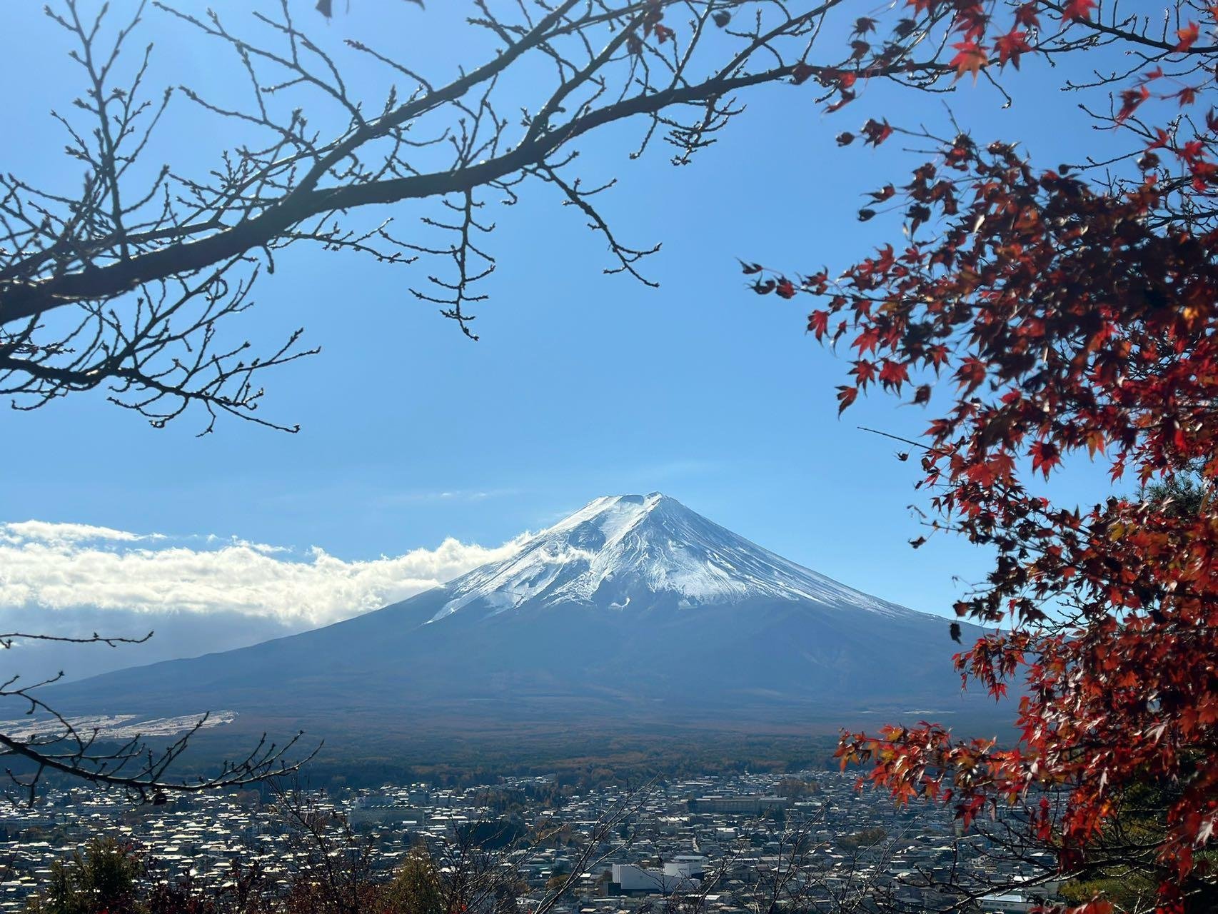 Japan 10-Day All-Inclusive Private Tour: Tokyo to Osaka