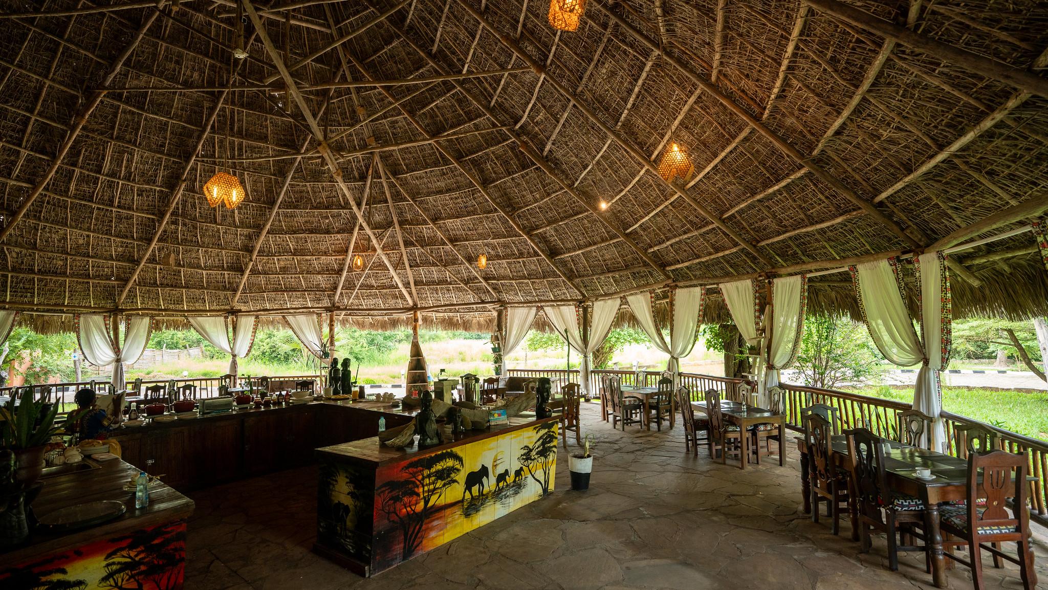 Zanzibar to Selous: 2-Day Safari with Flights & Bush Lunch