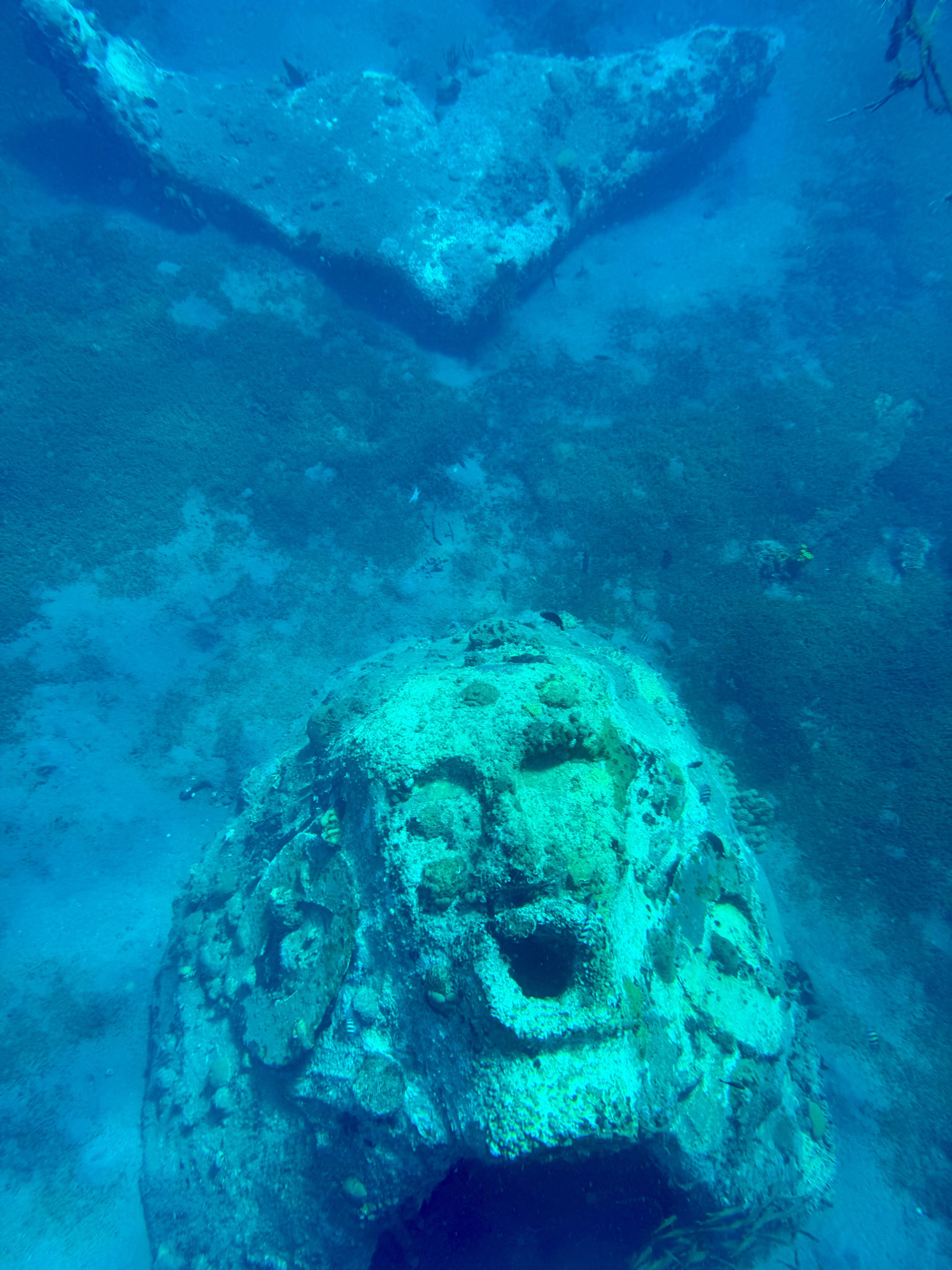 Northern Martinique Snorkeling & Coastal Discovery