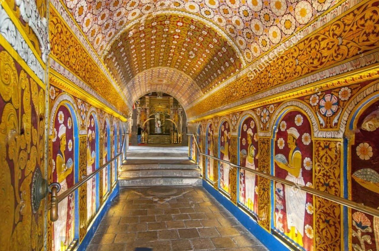 Kandy, Pinnawala & Tea Country Full-Day Excursion