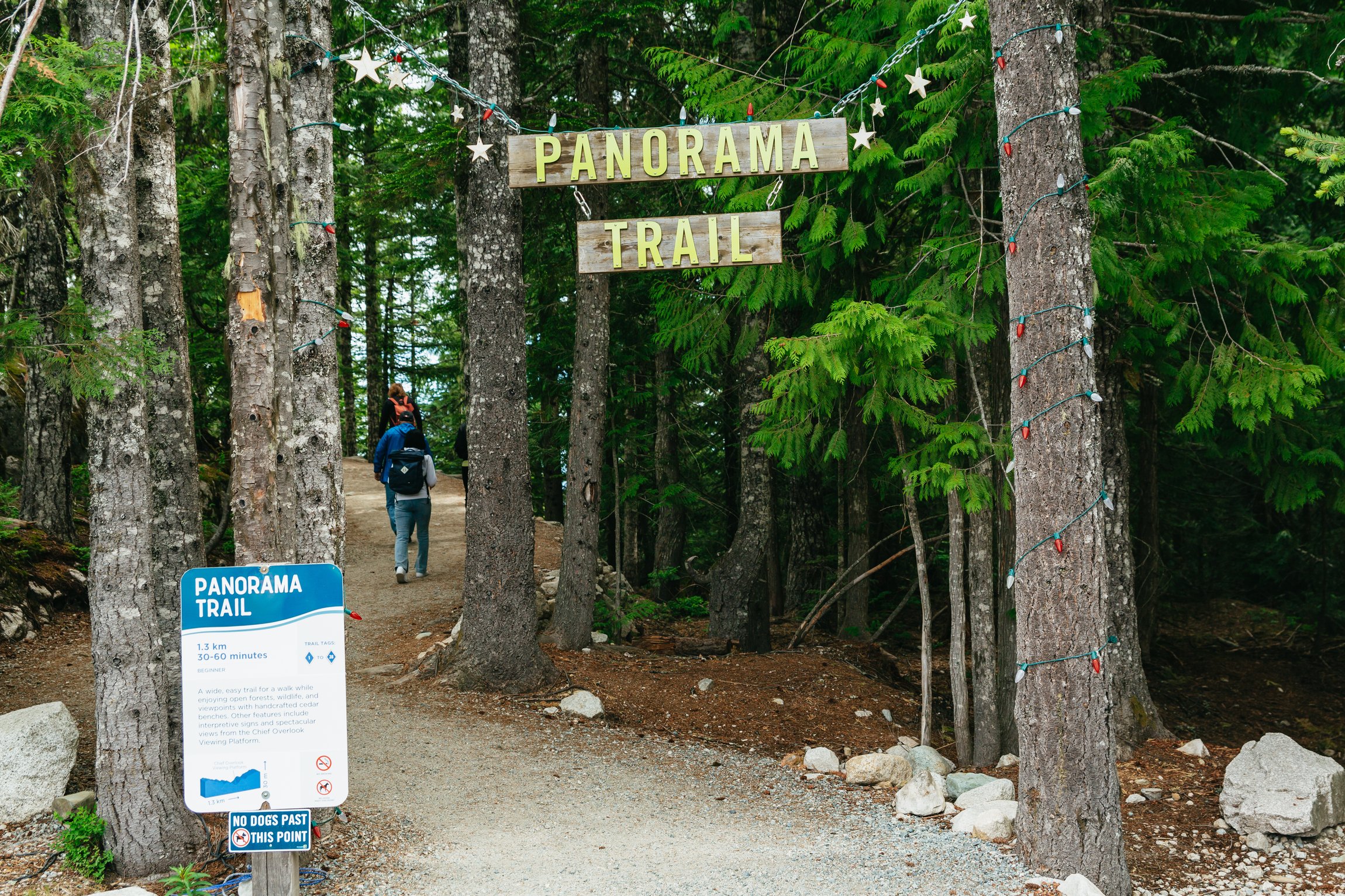 Whistler Sea to Sky day trip from Vancouver — gondola, Shannon Falls, and Whistler Village — image 15