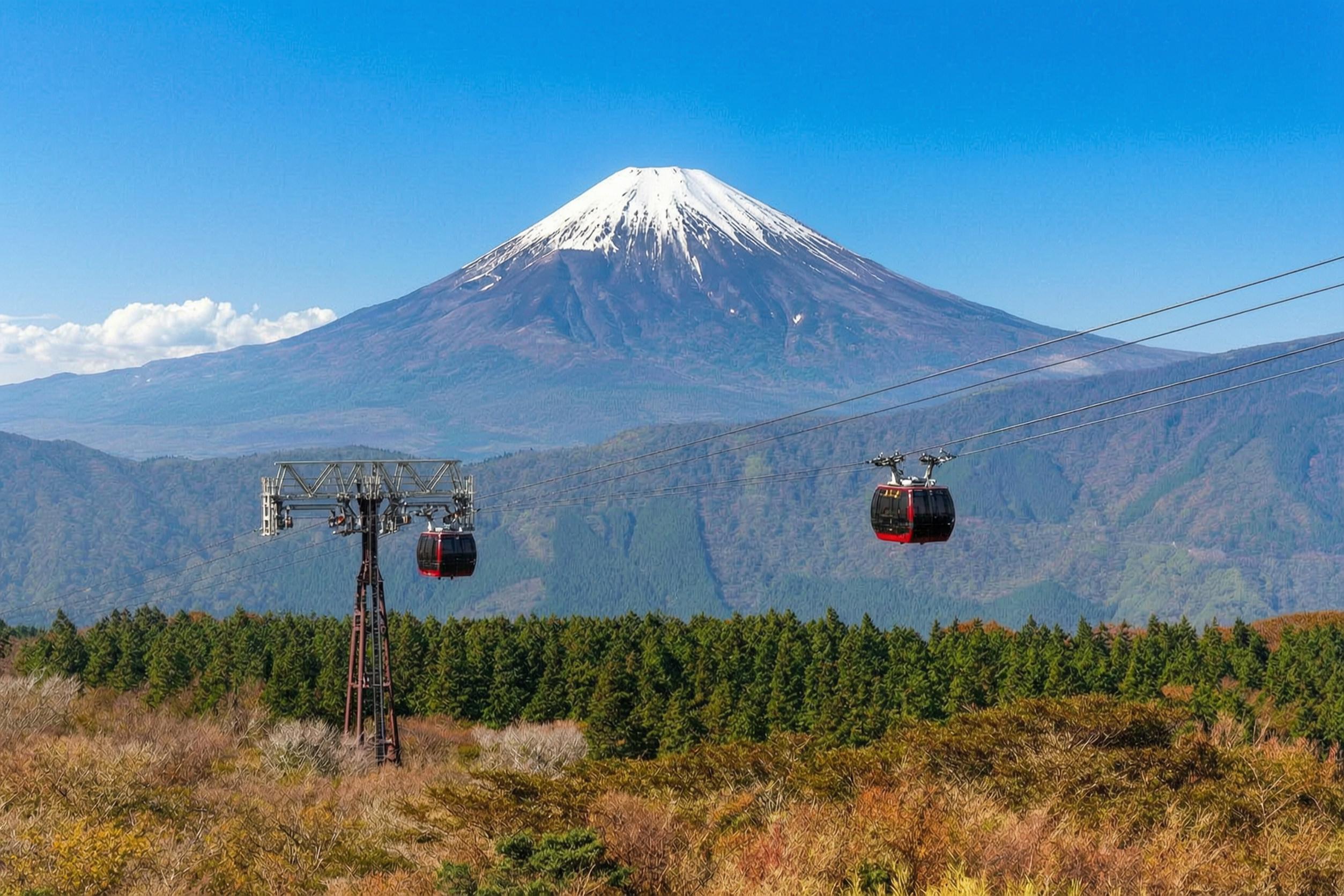 Tokyo Day Trip: Hakone Ropeway, Owakudani & Enoshima Sea-Fuji View