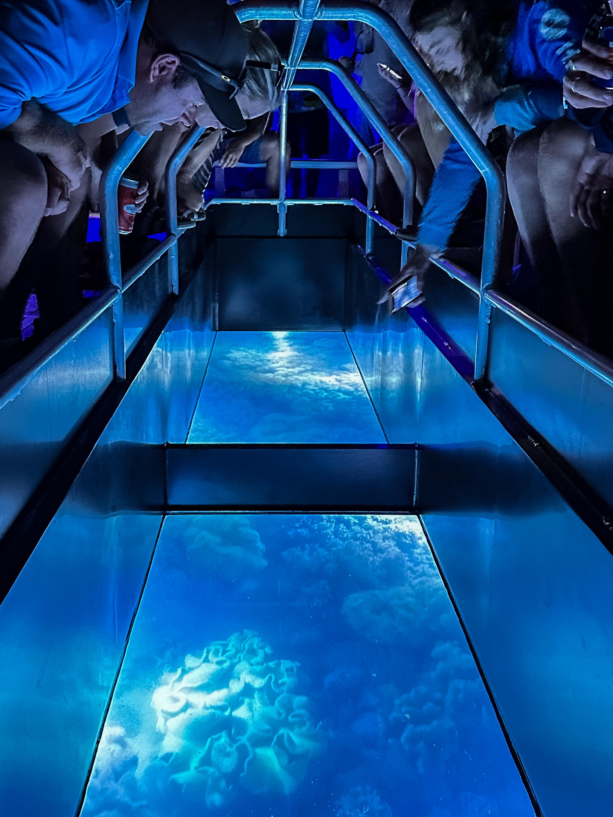 Glass-Bottom Boat Night Tour