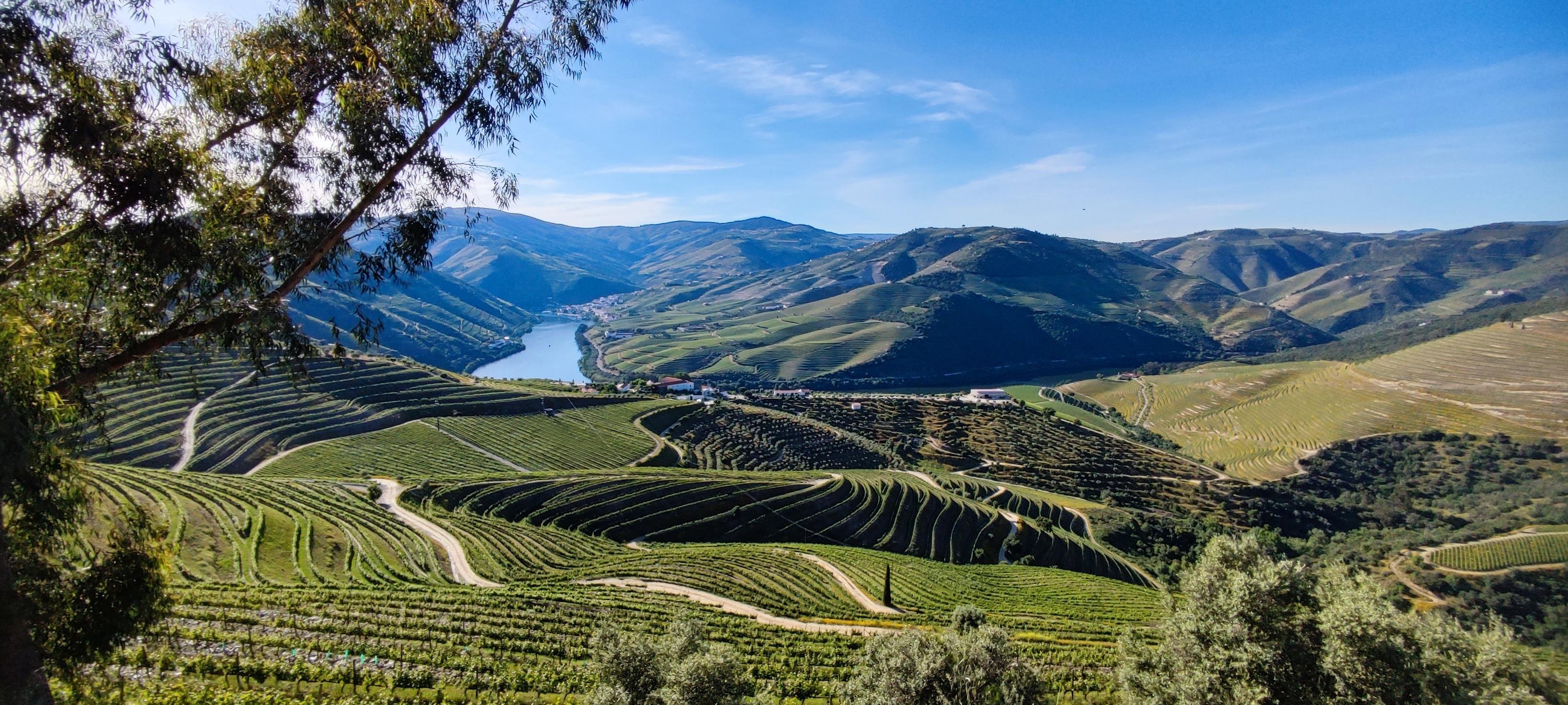 Douro Valley River Cruise & Wine Tasting from Pinhão