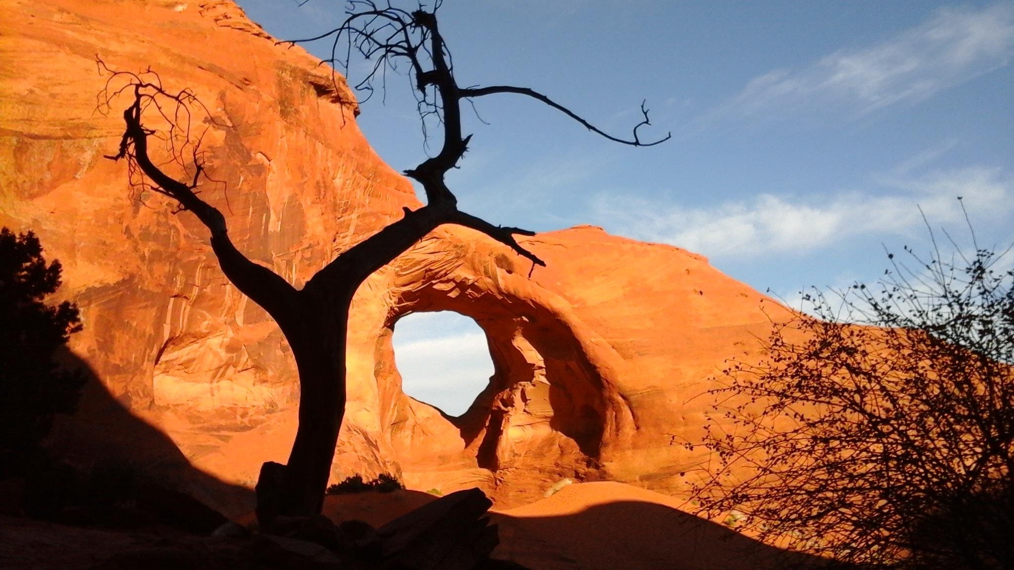 Monument Valley: 3.5-Hour Cultural Backcountry Expedition