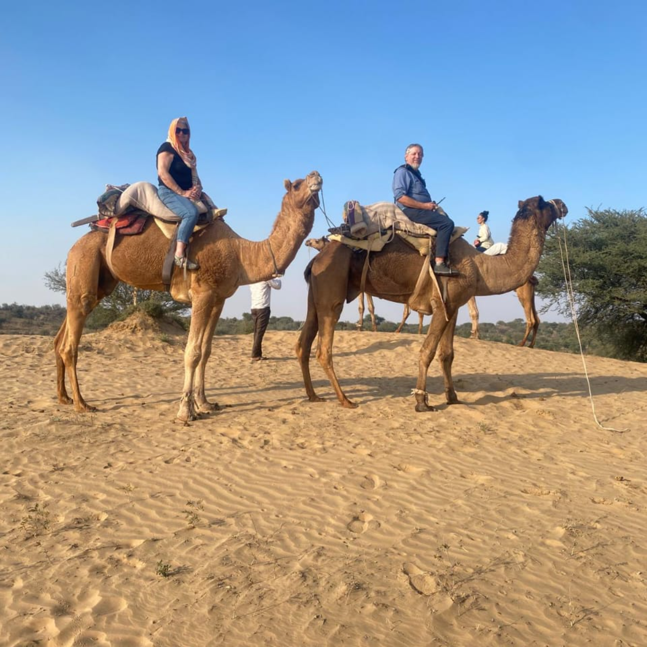 Jodhpur Desert Expedition: Osian Dunes, Camel Ride & Cultural Night
