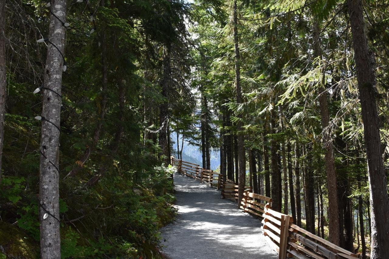 Whistler Sea to Sky day trip from Vancouver — gondola, Shannon Falls, and Whistler Village — image 4