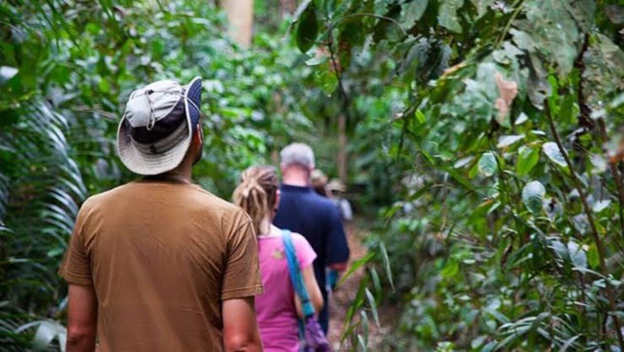 Zanzibar Private Spice Farm Tour with Local Guide
