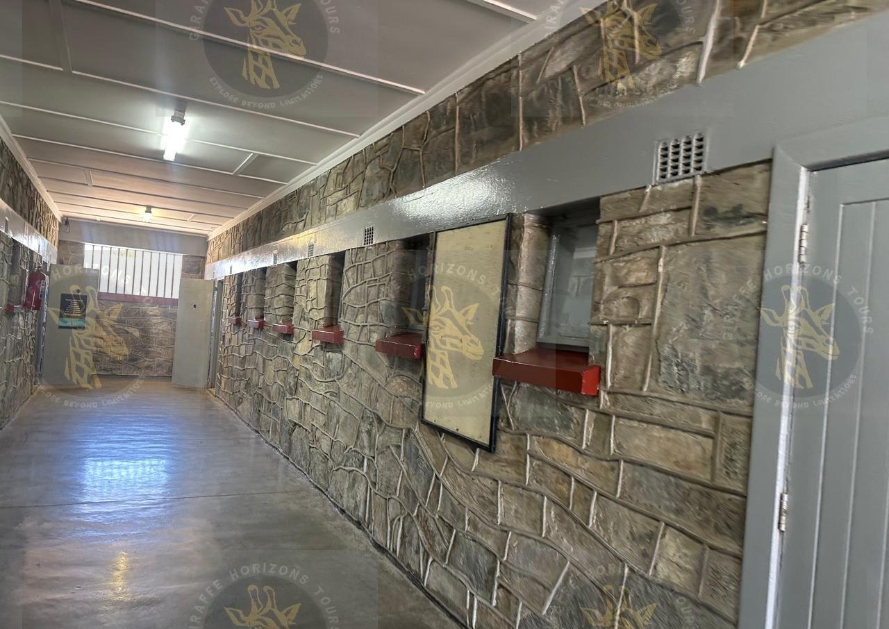 Robben Island Ferry, Prison & Guided Tour from Cape Town