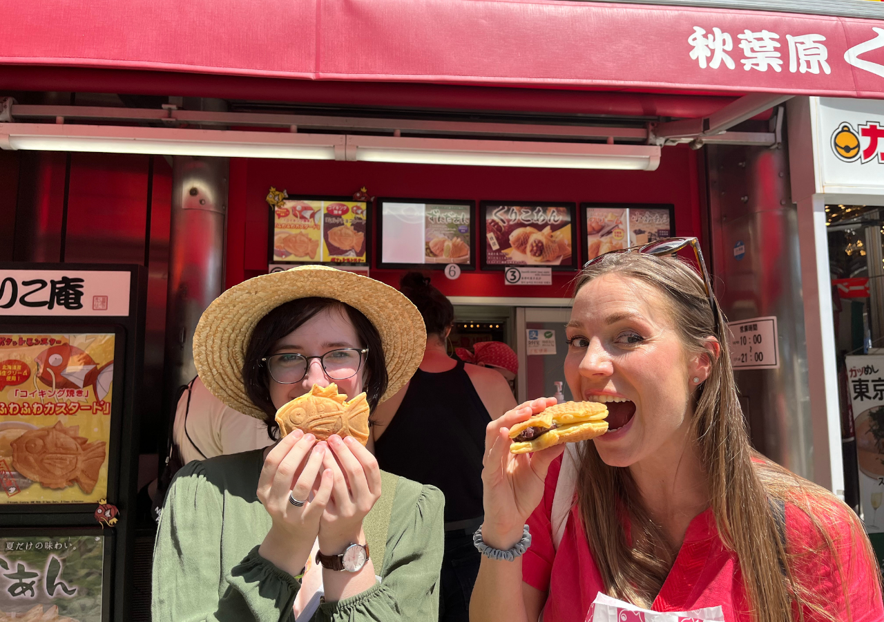 Akihabara: Private Anime and Pop Culture Tour — Tokyo anime tour in Akihabara