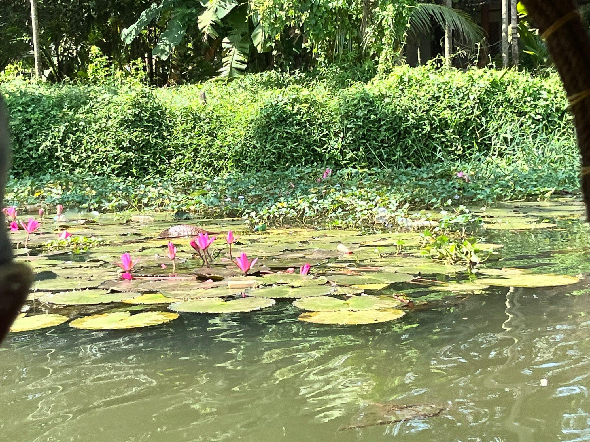 Kerala Backwater Village Punting Cruise with Lunch