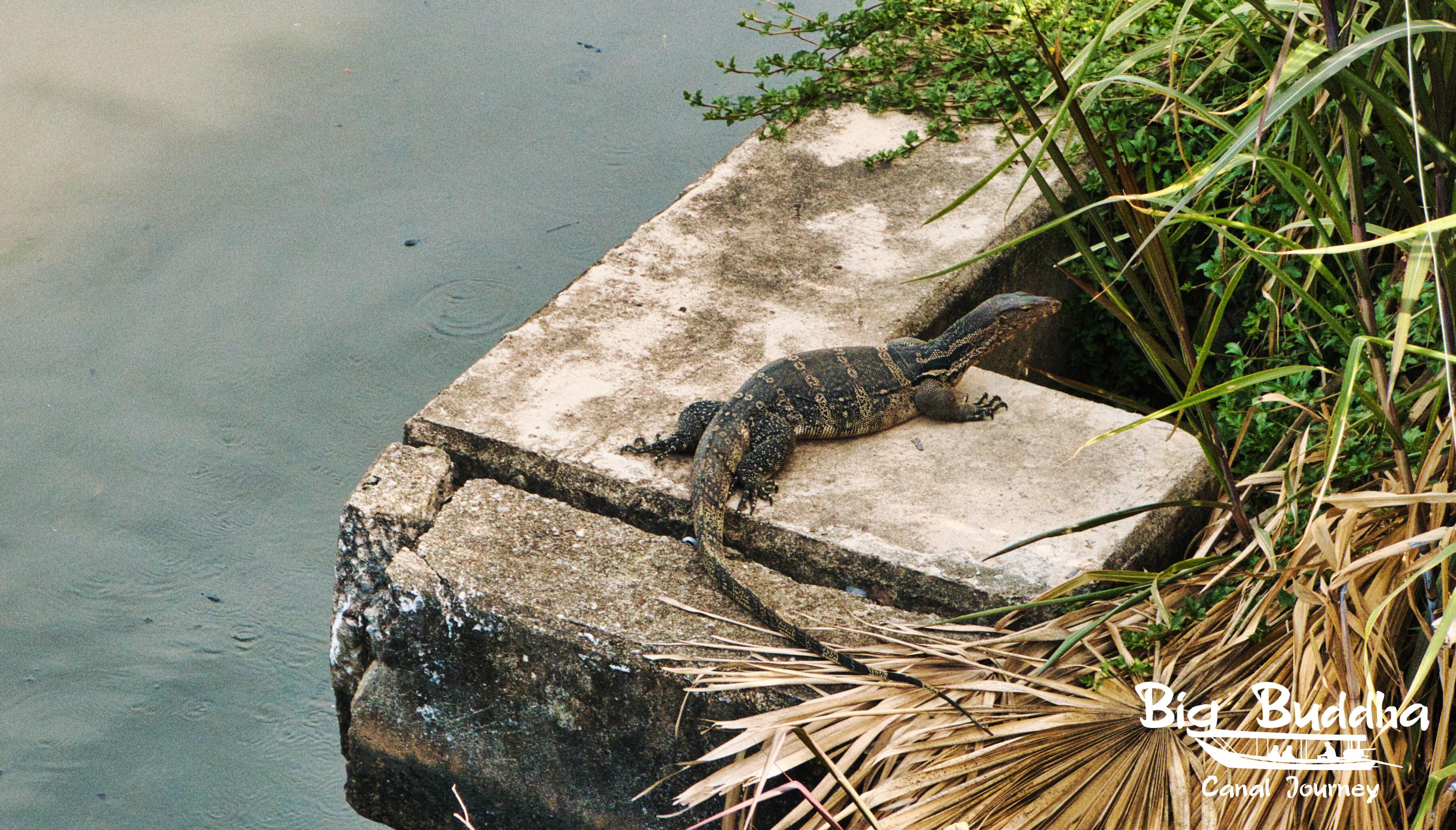 Private Thonburi Long-Tail Boat & Big Buddha Tour