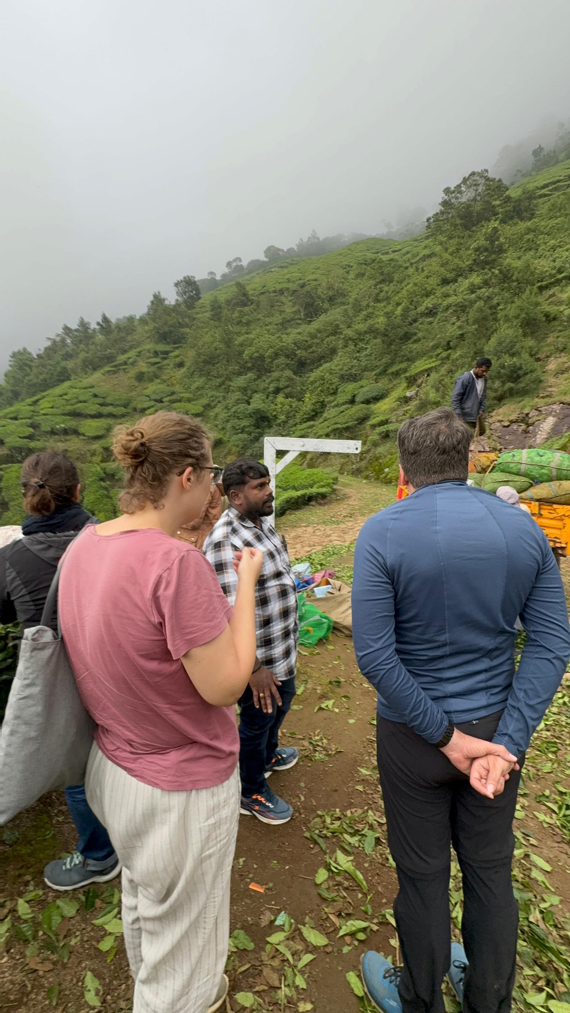 Munnar: Kolukkumalai High-Altitude Tea Estate Jeep Adventure