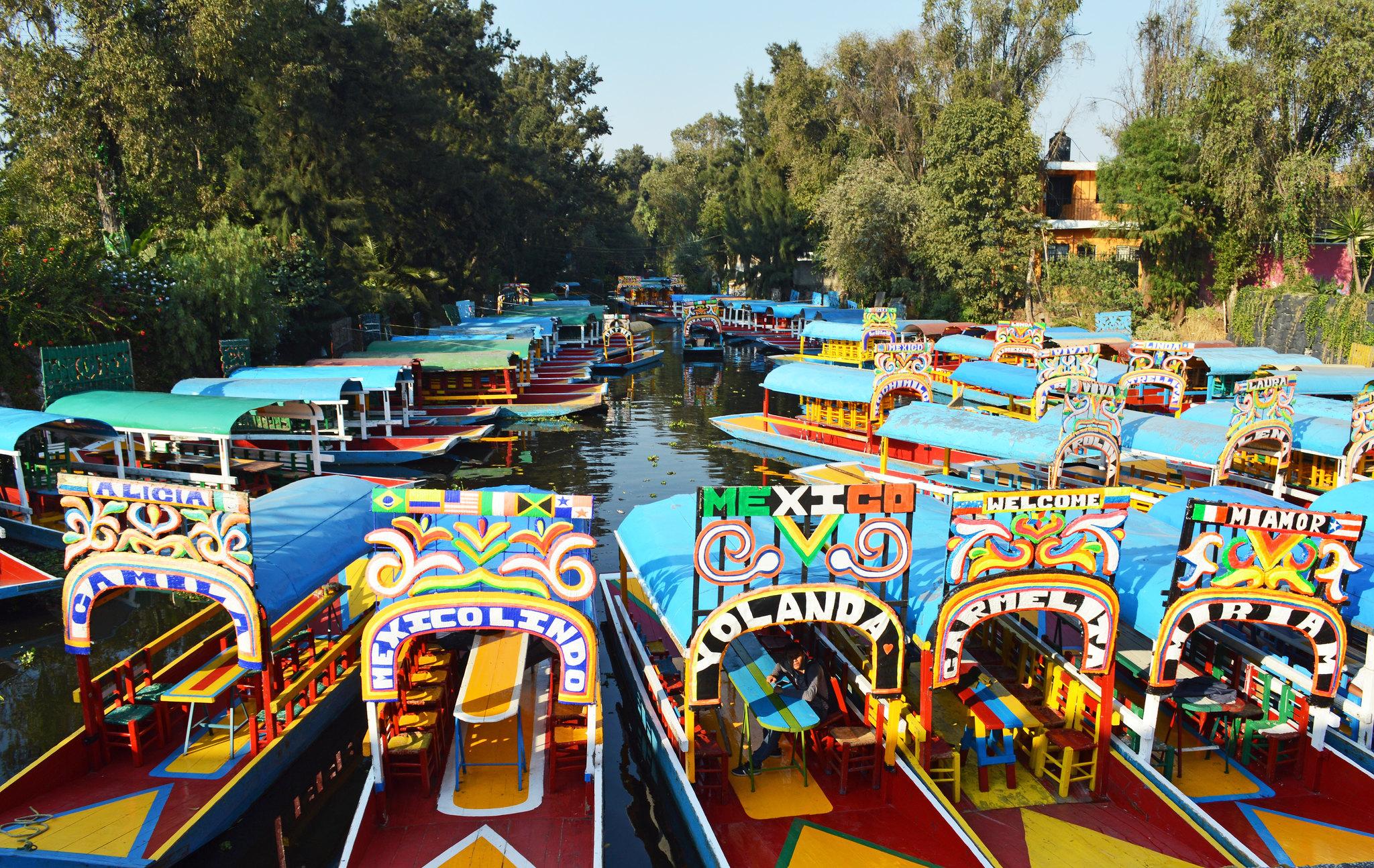Mexico City Cultural Full-Day Tour: Xochimilco, UNAM & Coyoacán