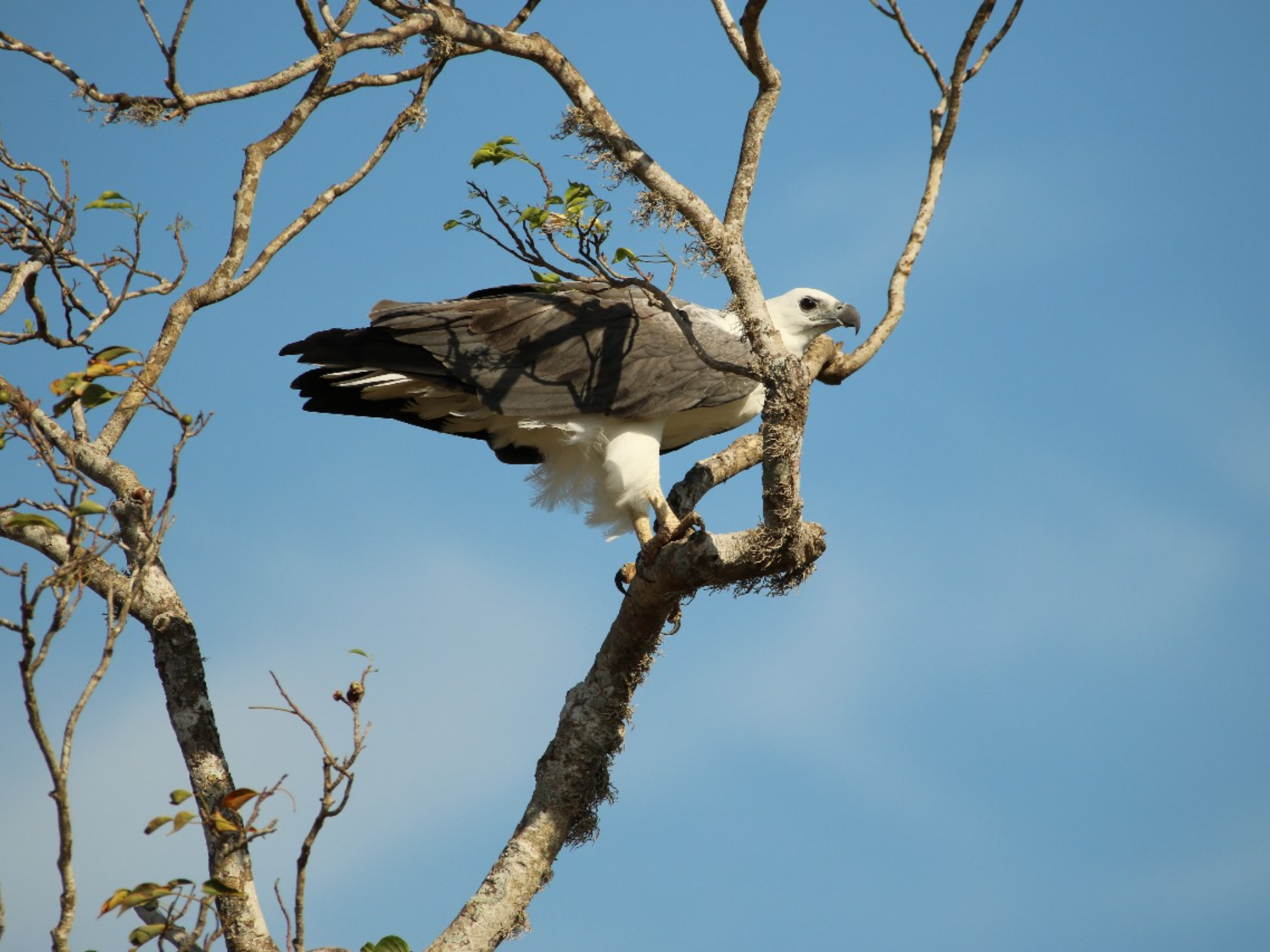 Kumana Bird Sanctuary Safari with Village Lunch