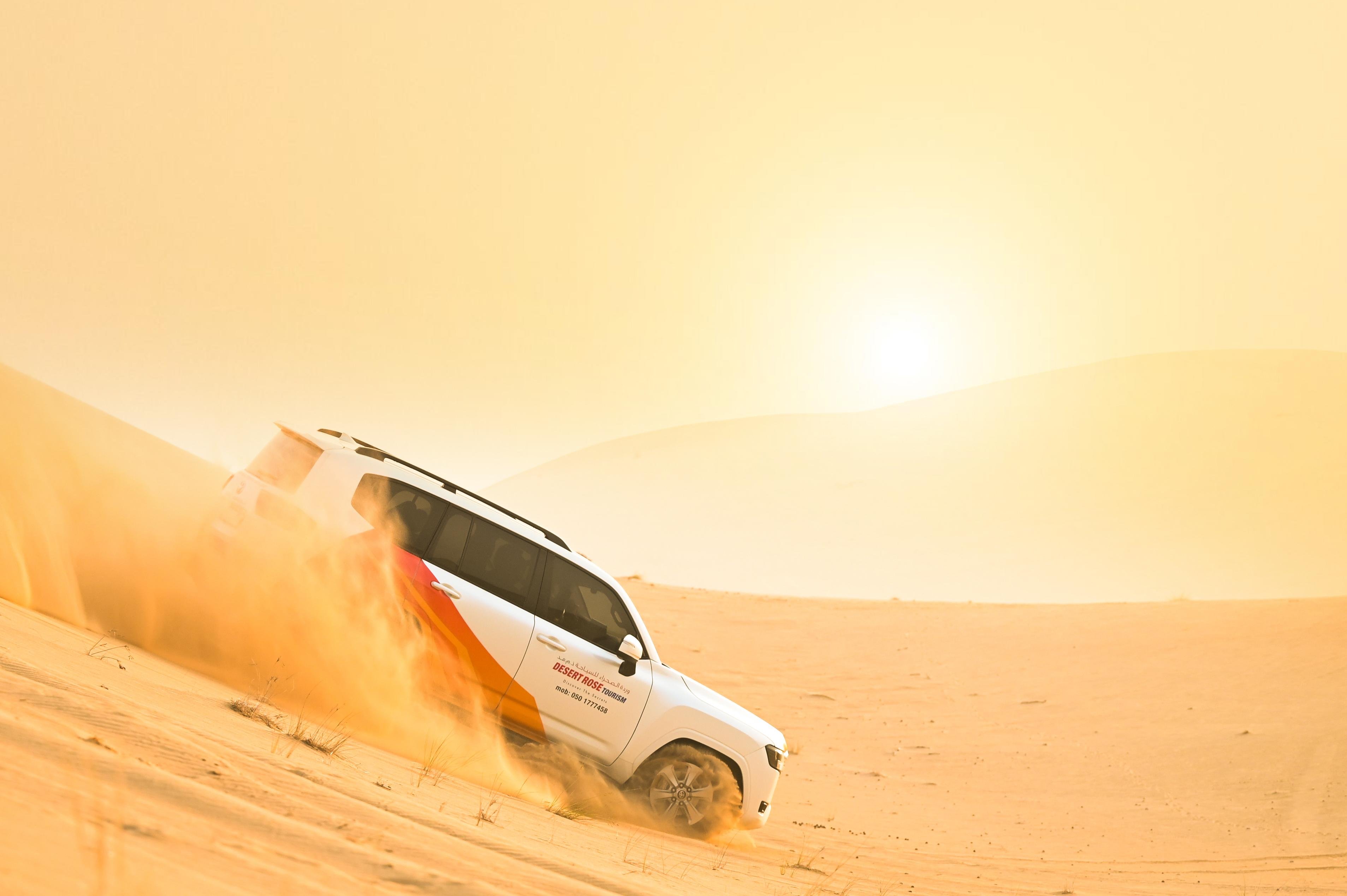 Abu Dhabi Desert Dune Bashing Safari