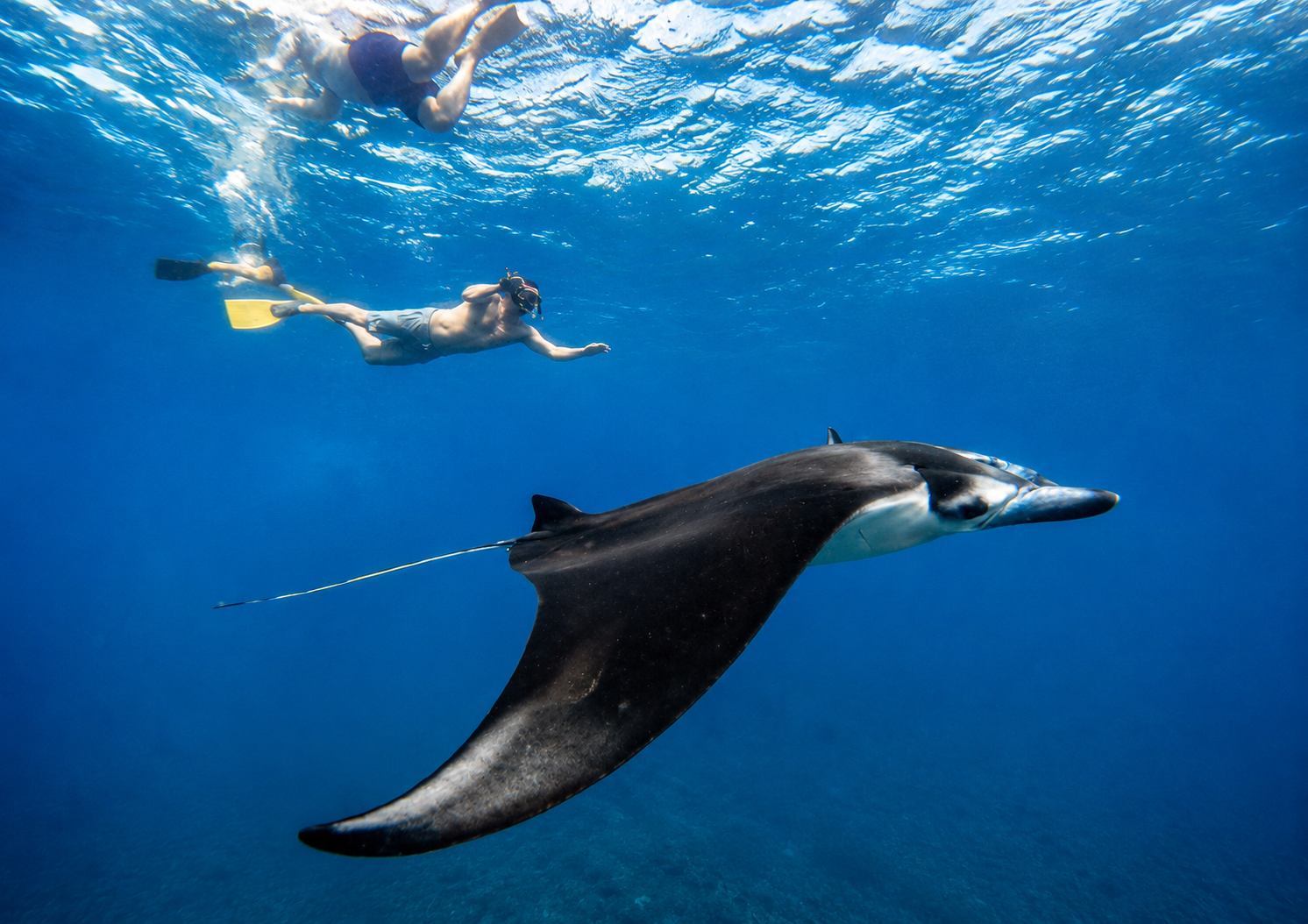 Private Snorkeling Adventure in Nusa Penida Waters