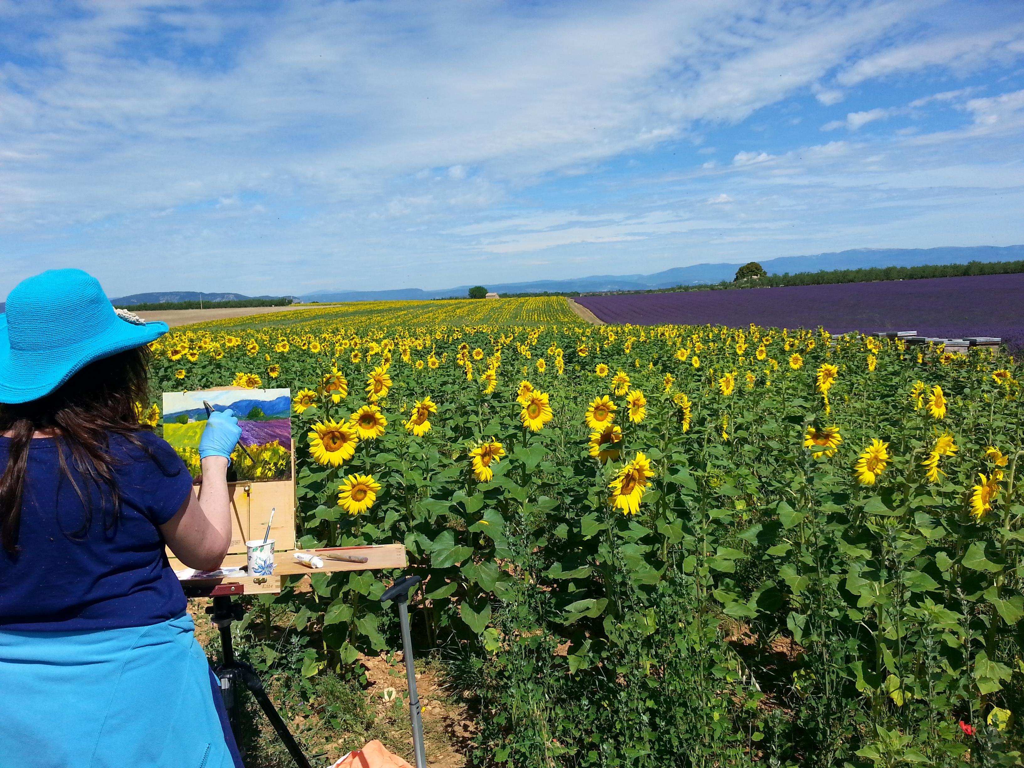 Valensole lavender fields in Provence — guided lavender tour photo 4