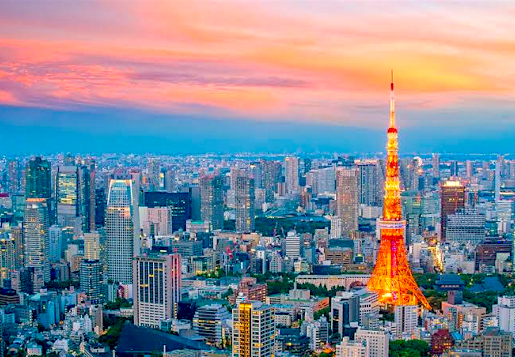 Tokyo Full-Day Private Guided Tour with Hotel Transfers