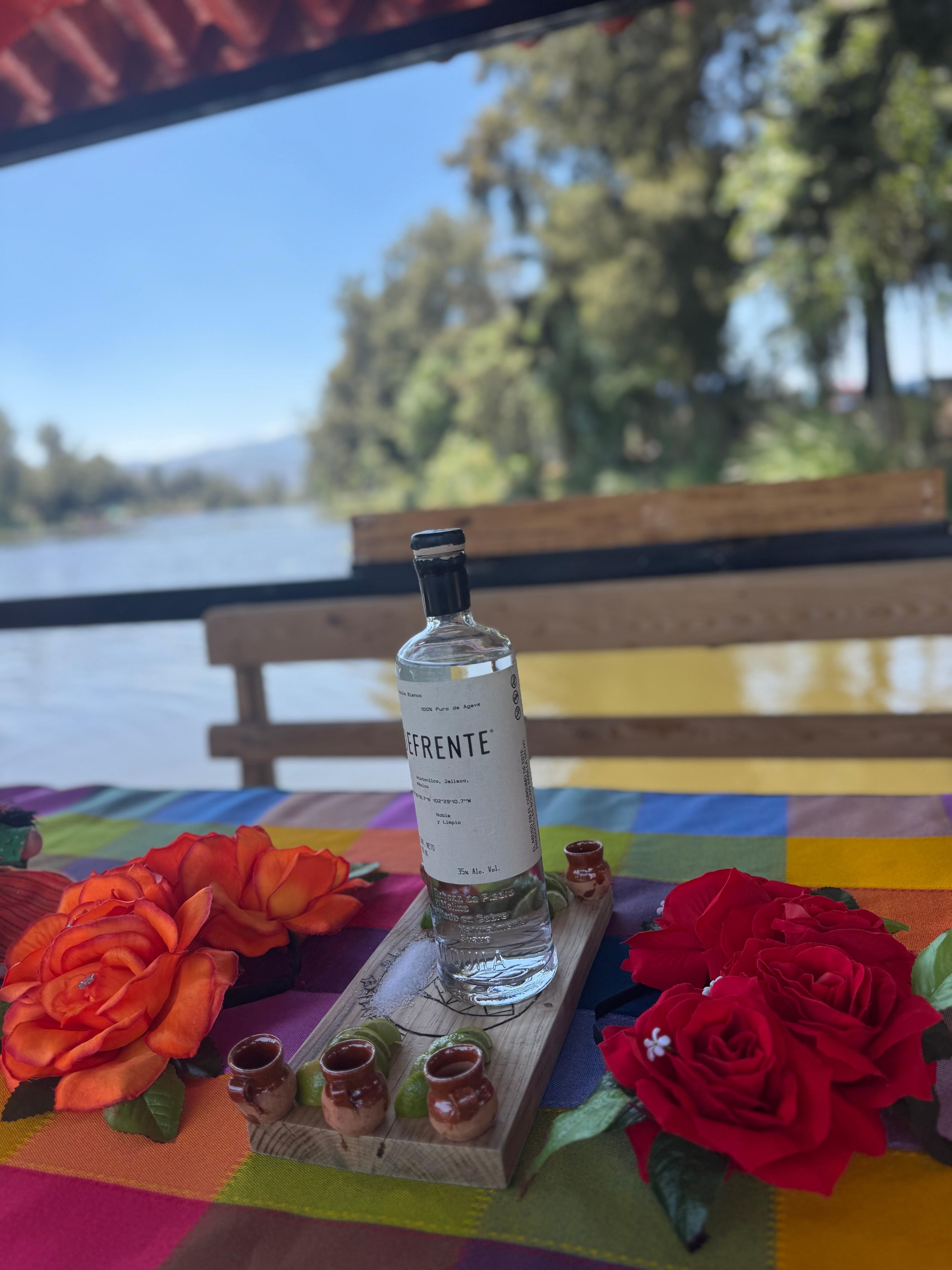 Xochimilco Axolotl Refuge & Canal Expedition