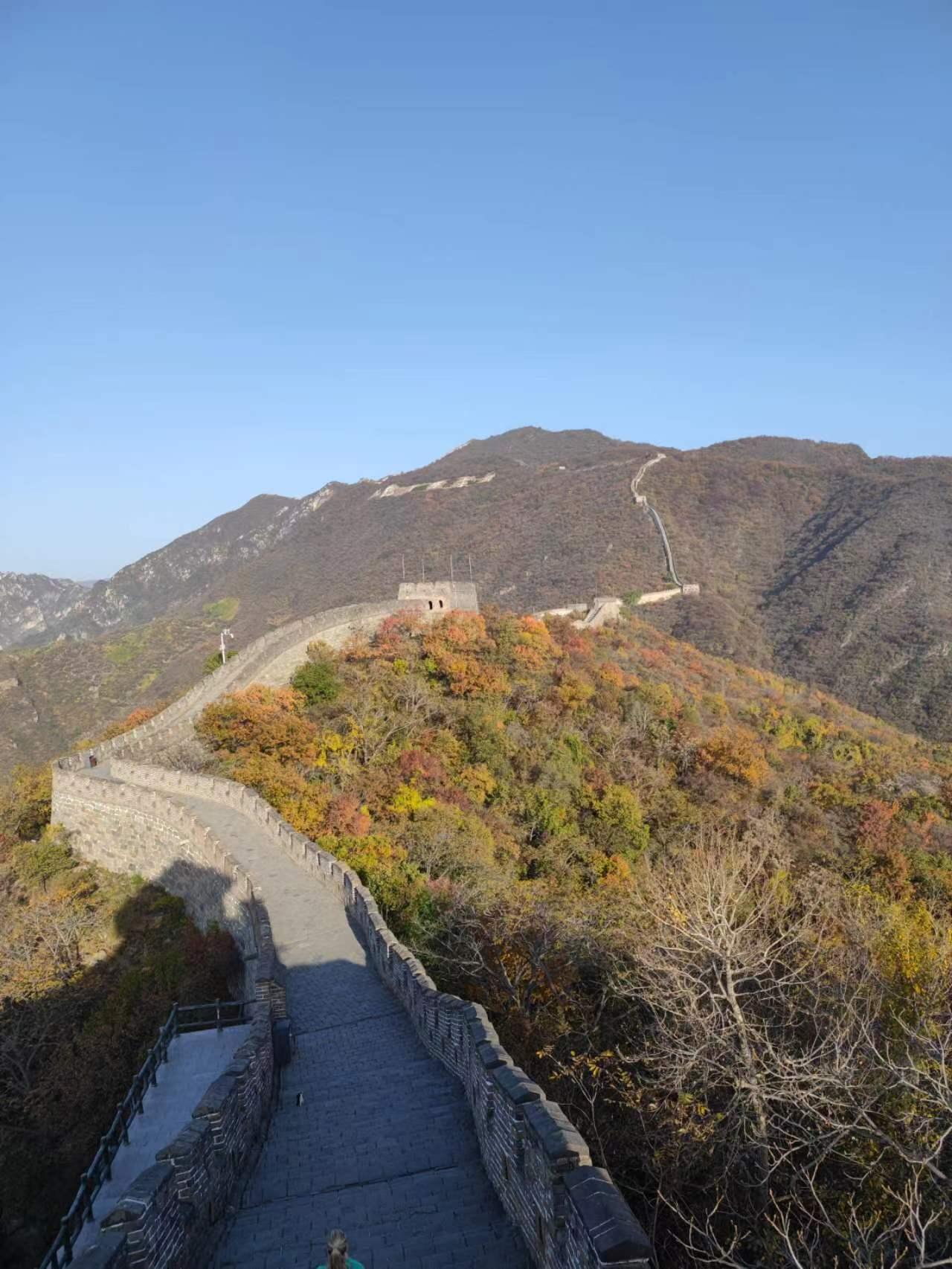 Beijing Layover Tour: Great Wall & Forbidden City (Private)