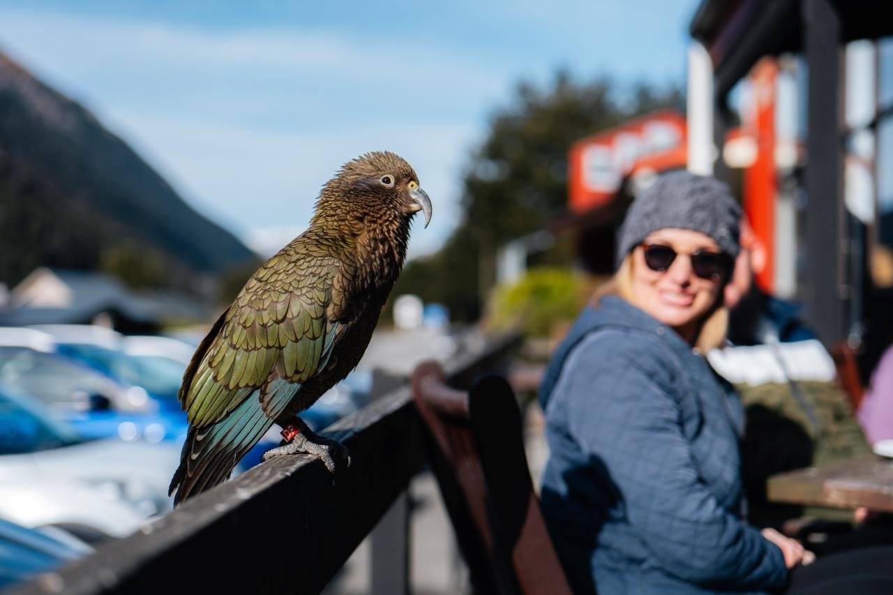 Southern Alps Rail & Alpine Explorer with Lunch