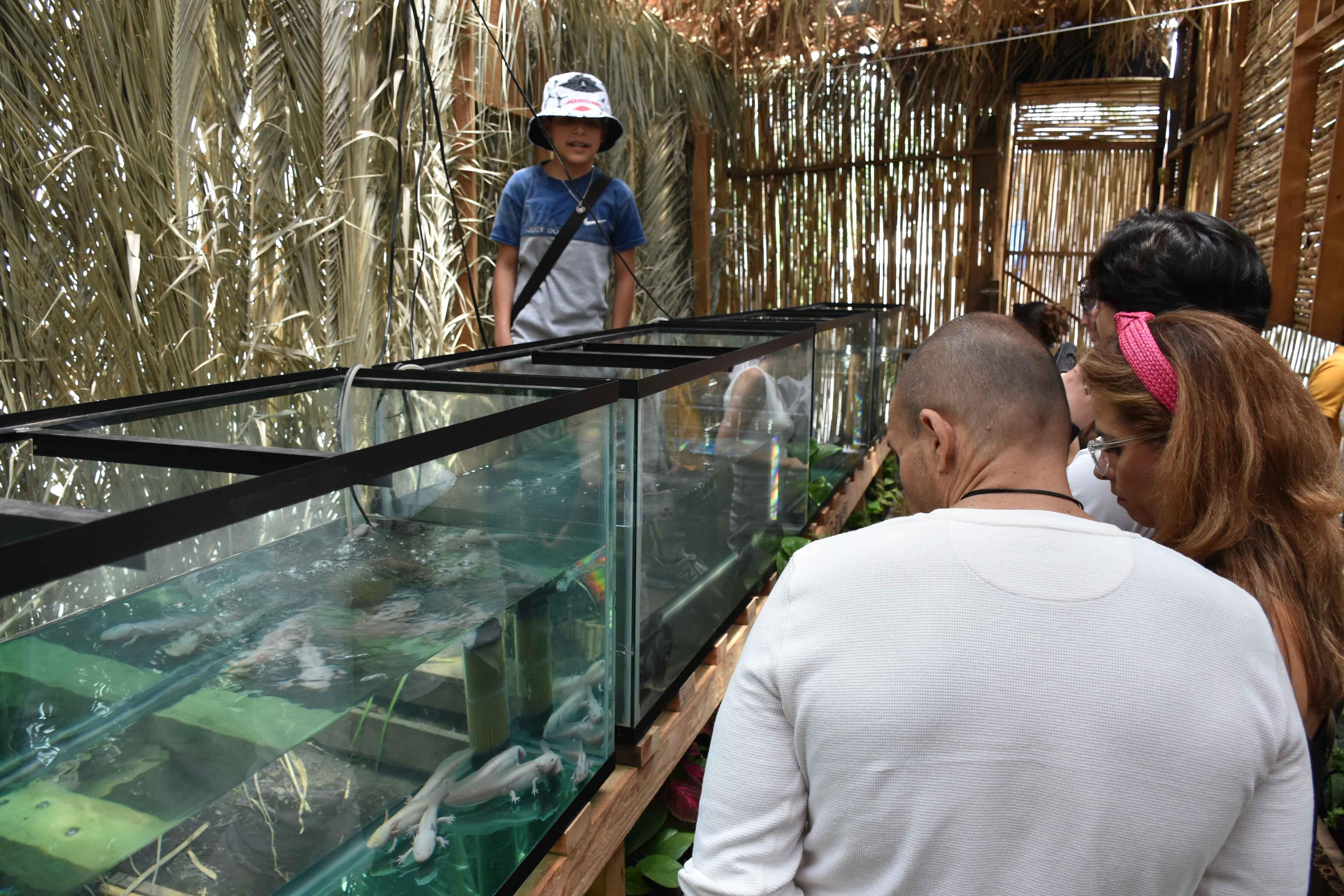 Xochimilco Ecological Boat Escape