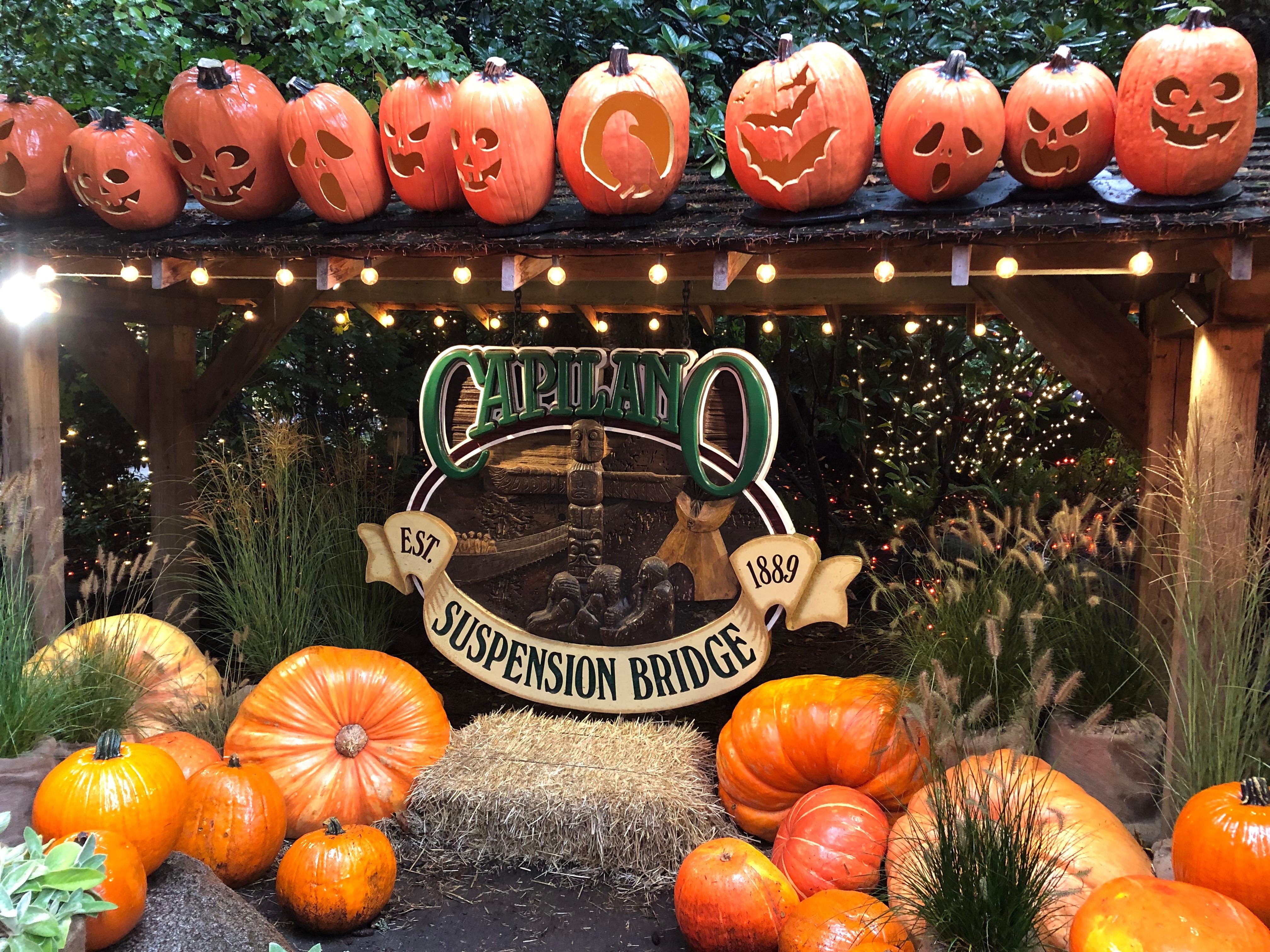 5-in-1 Vancouver Highlights: Grouse Mountain & Capilano Bridge Private Car Tour