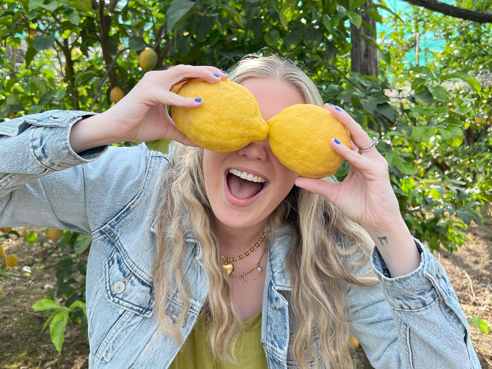 limoncello tour in Sorrento — Sorrento: Lemon Picking Tour with Limoncello Tasting