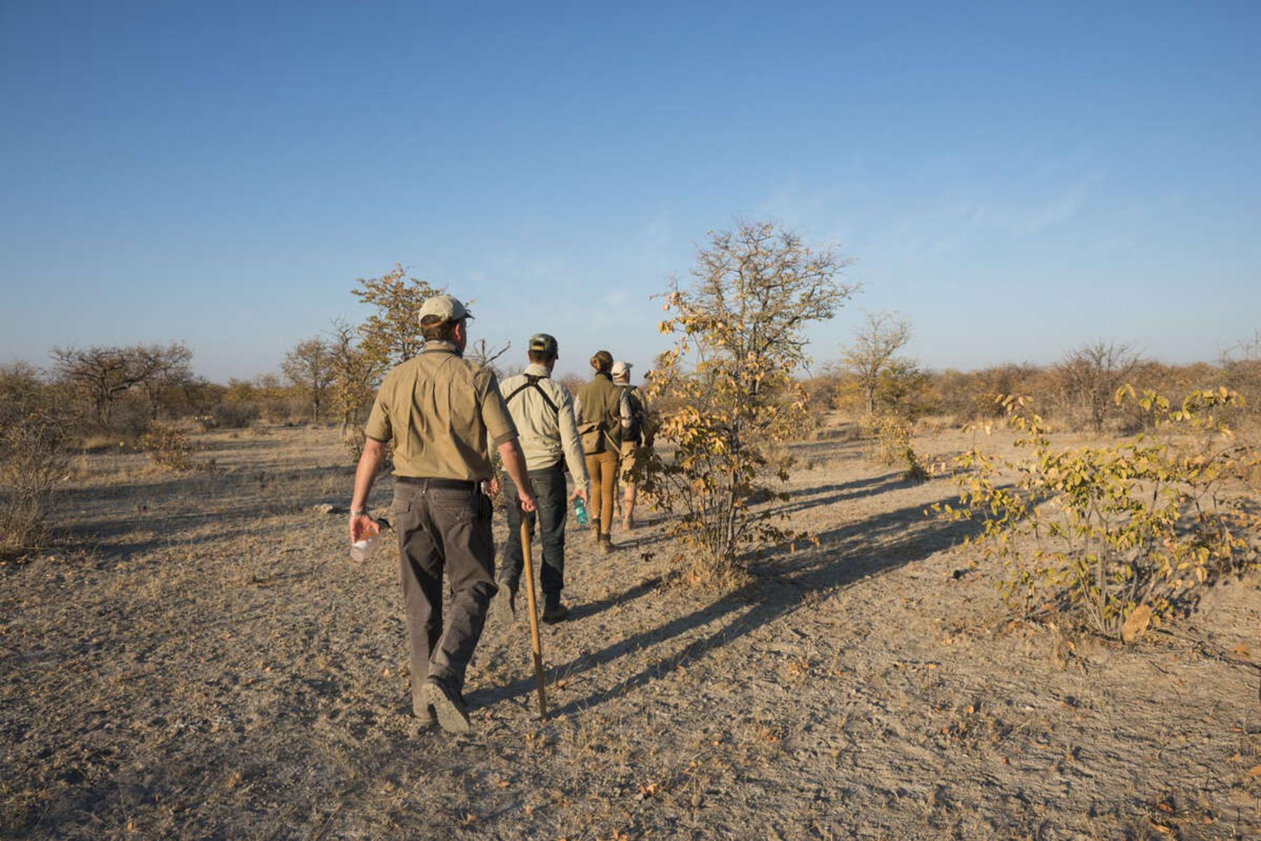 Full-Day Etosha Wildlife Safari from Windhoek
