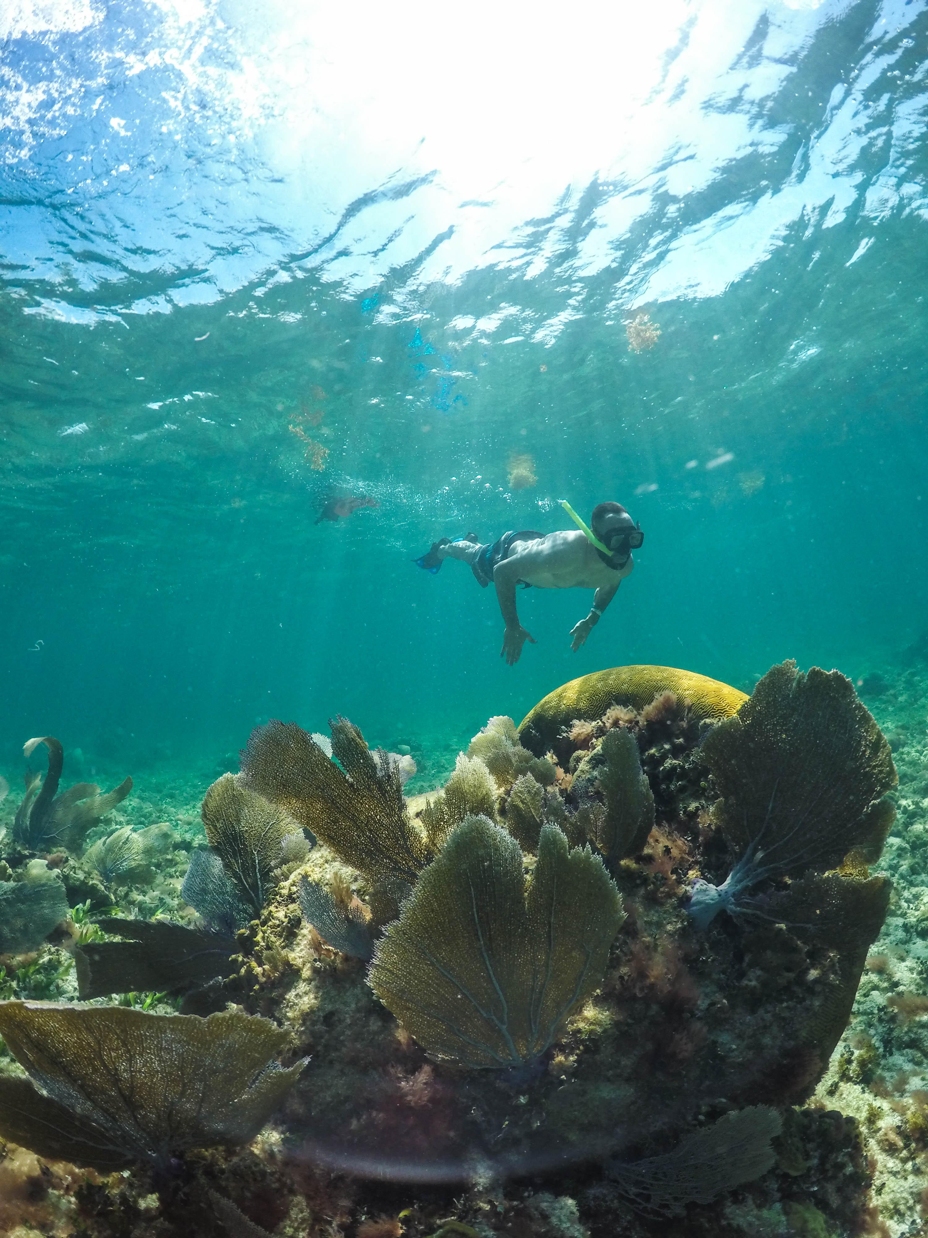 Tulum Jungle & Reef Snorkeling Adventure