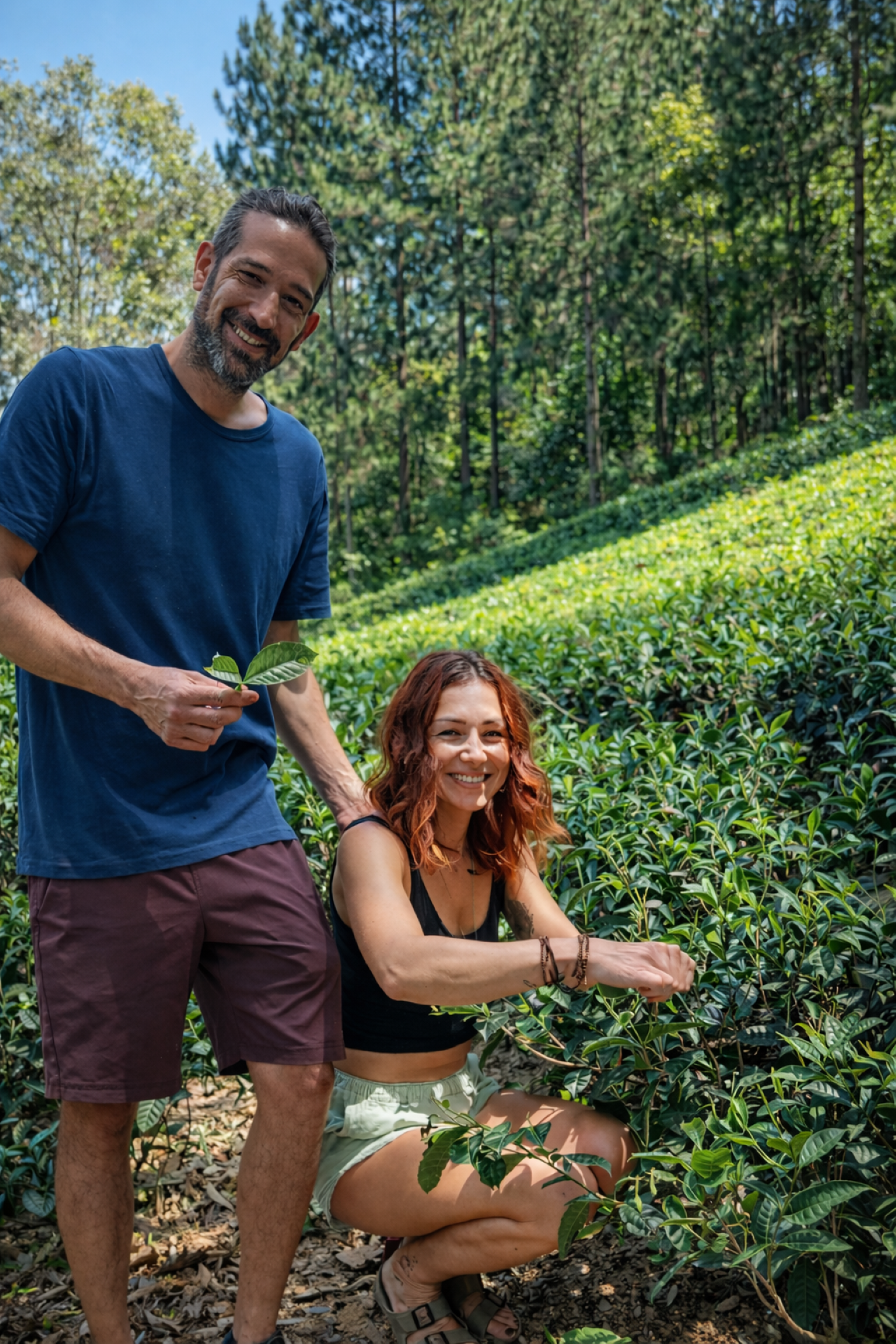 Ella: Hands-On Tea Making and Tasting Experience