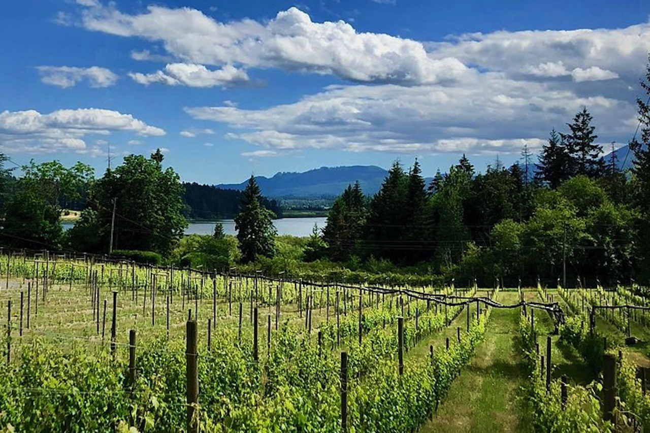 Cowichan Valley Private Wine Tour with Lunch