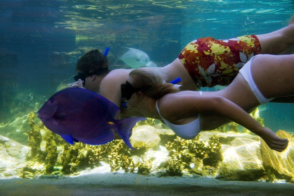 Ocean World Adventure Park Full-Day Pass – Puerto Plata