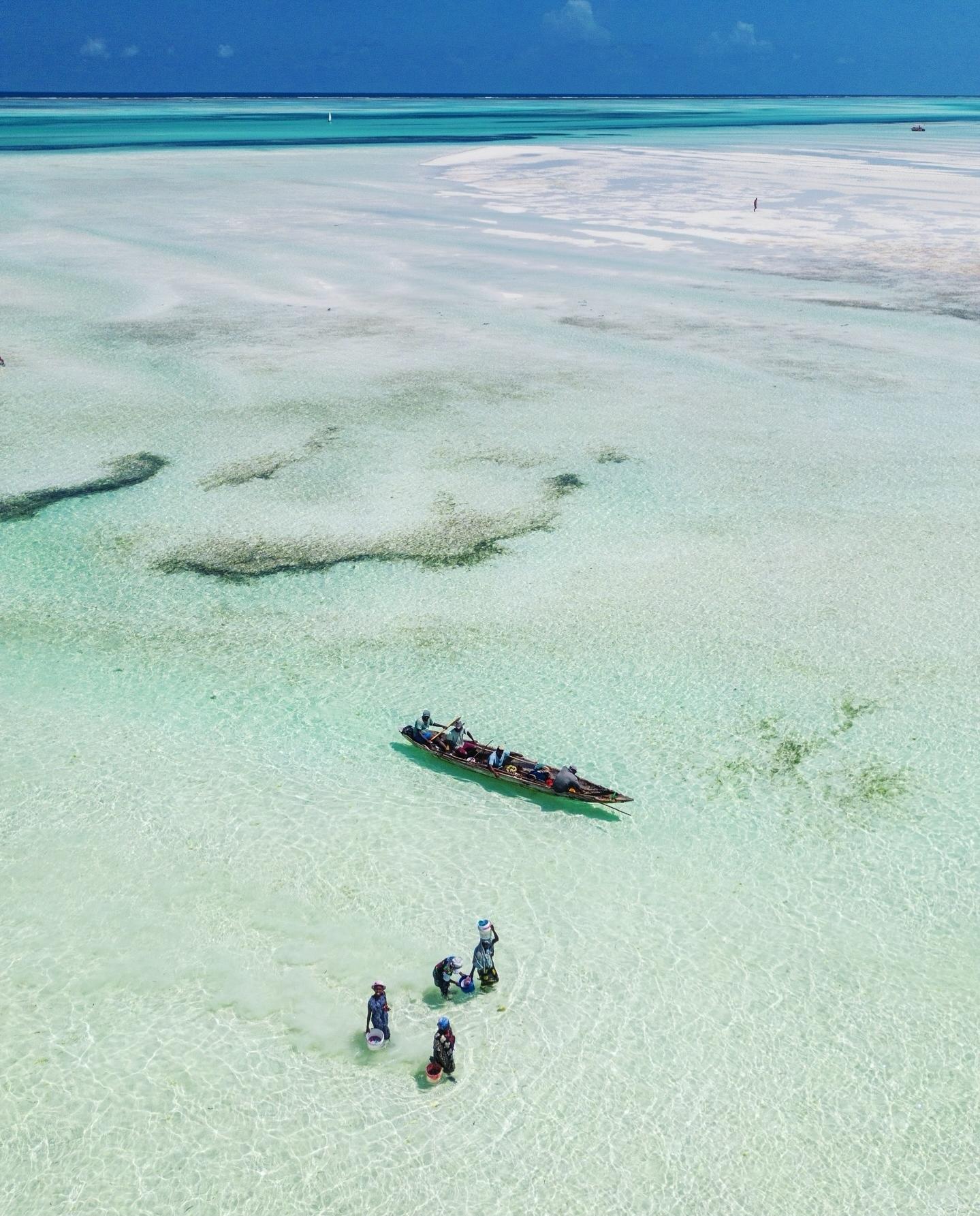 Southern Zanzibar Discovery: Blue Lagoon, Paje & Maalum Cave