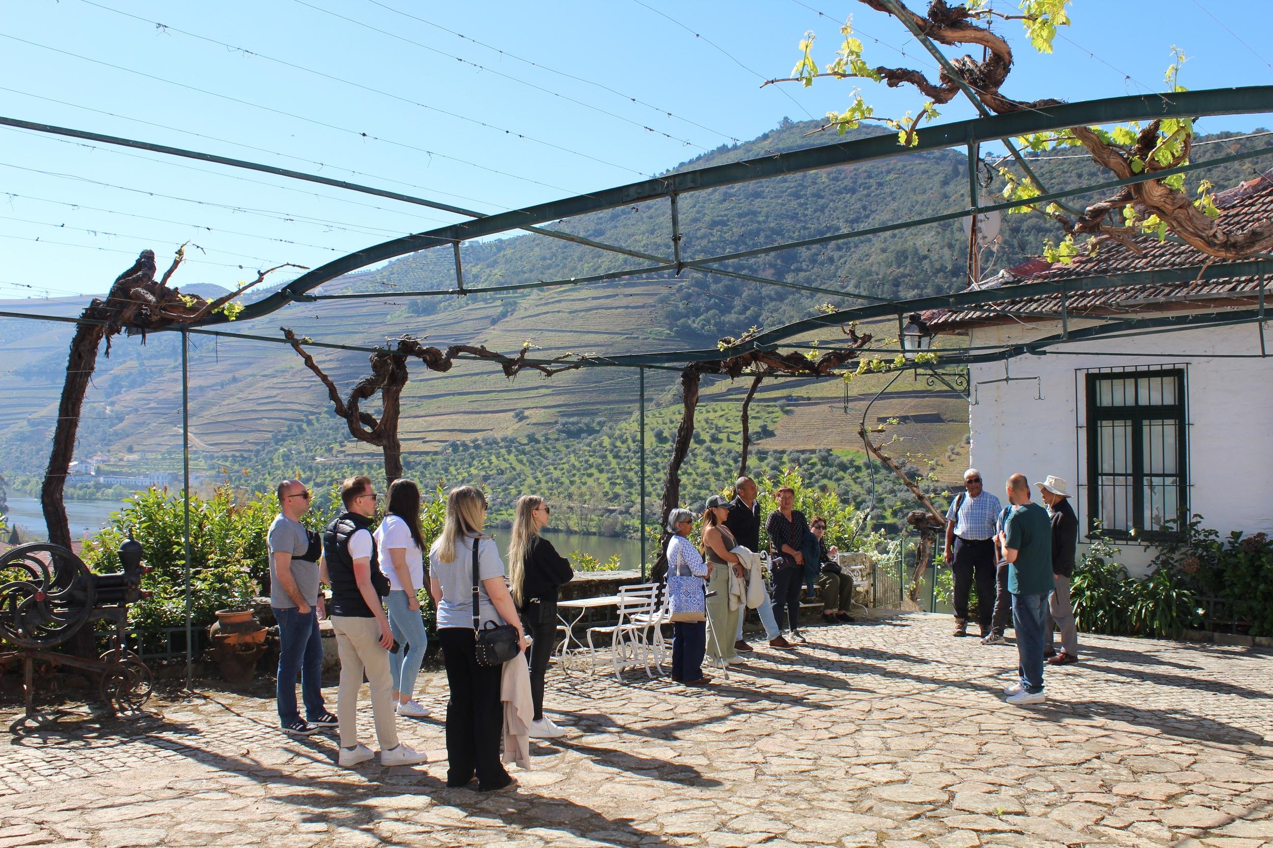 Douro Valley Wine & Cruise Day Trip from Porto